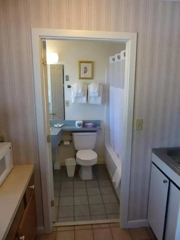Bathroom in Stowe Motel & Snowdrift