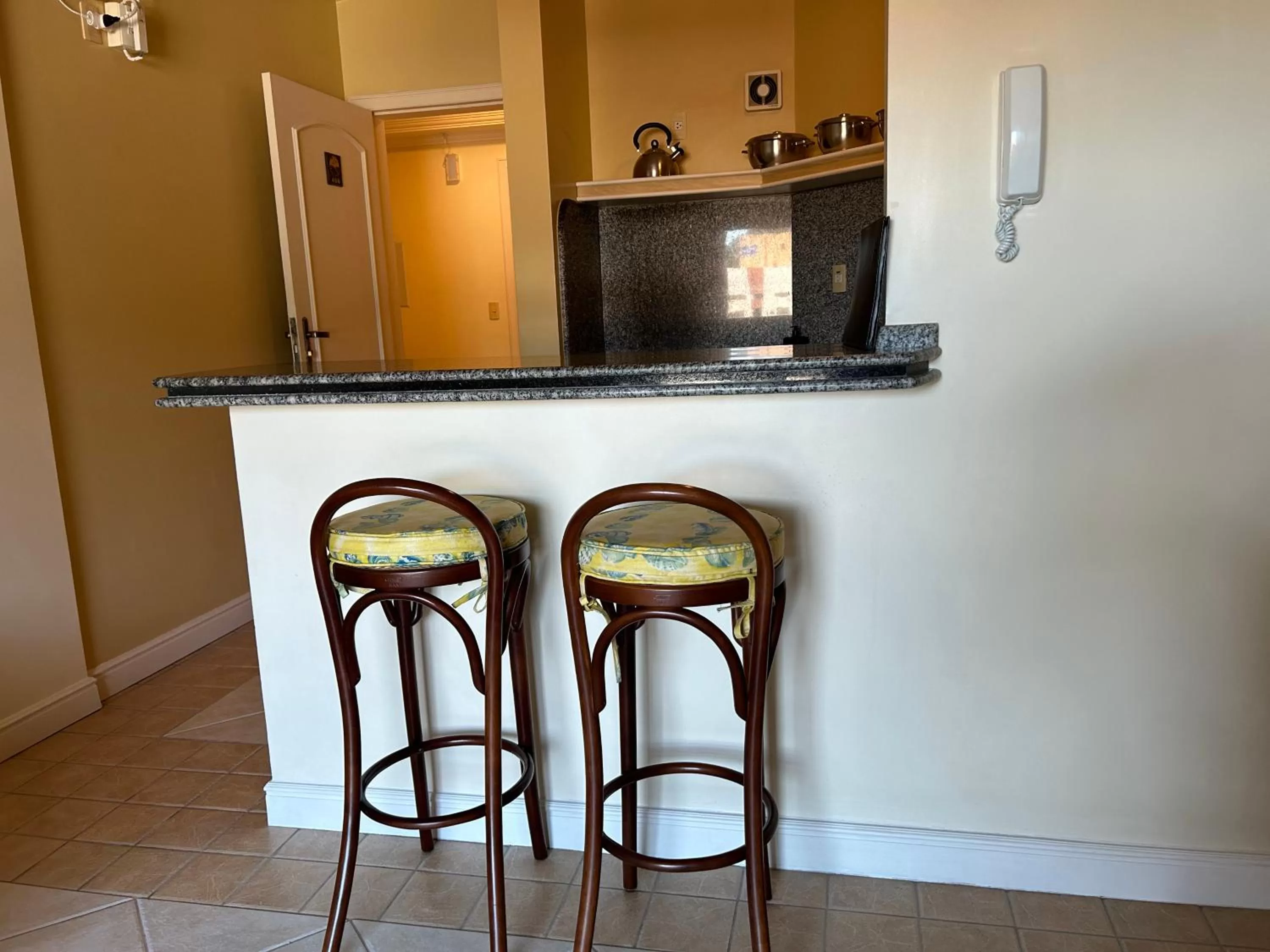 Kitchen or kitchenette in Golfinhos Apart Hotel