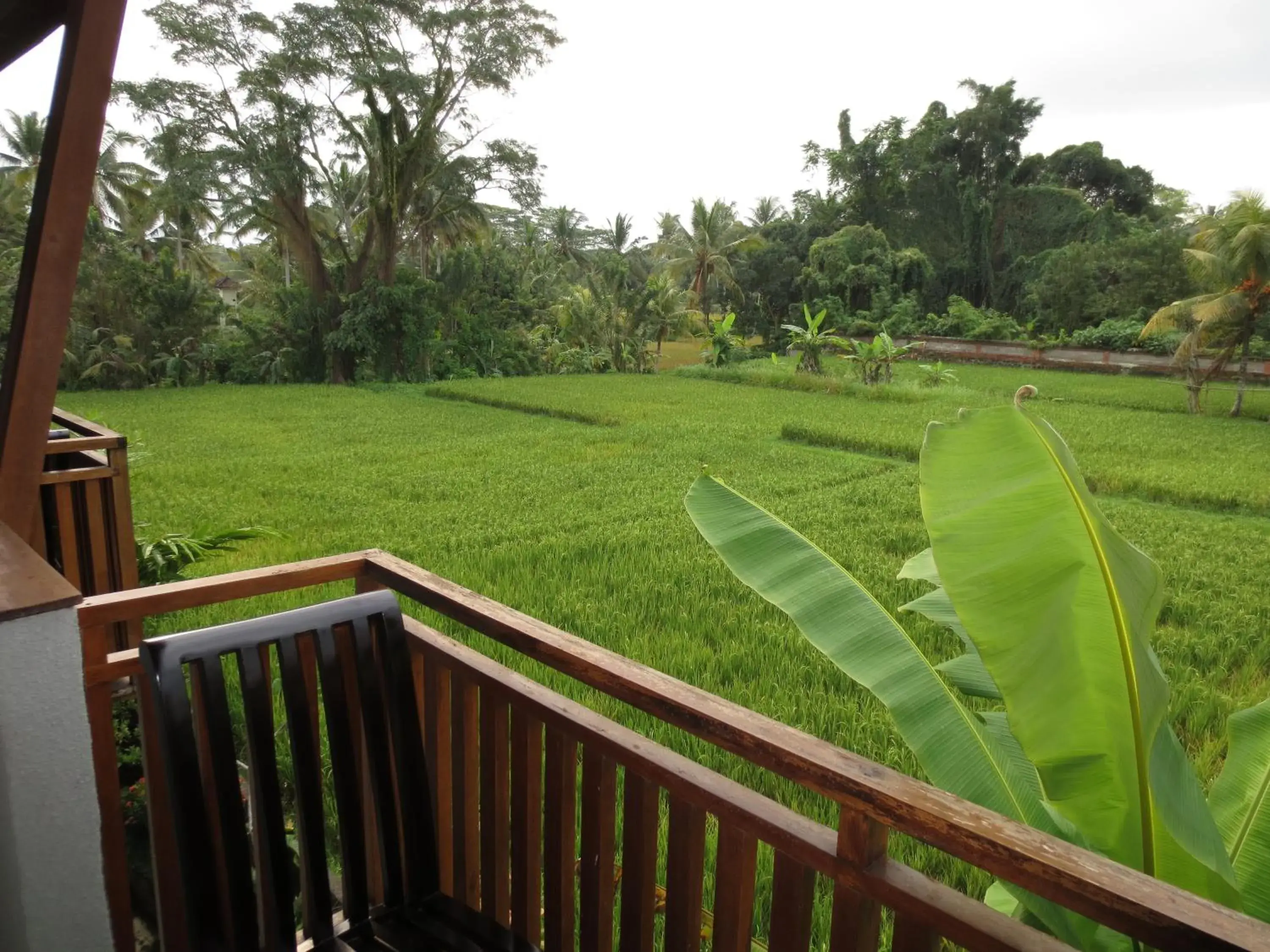 View (from property/room) in Anini Raka Resort & Spa