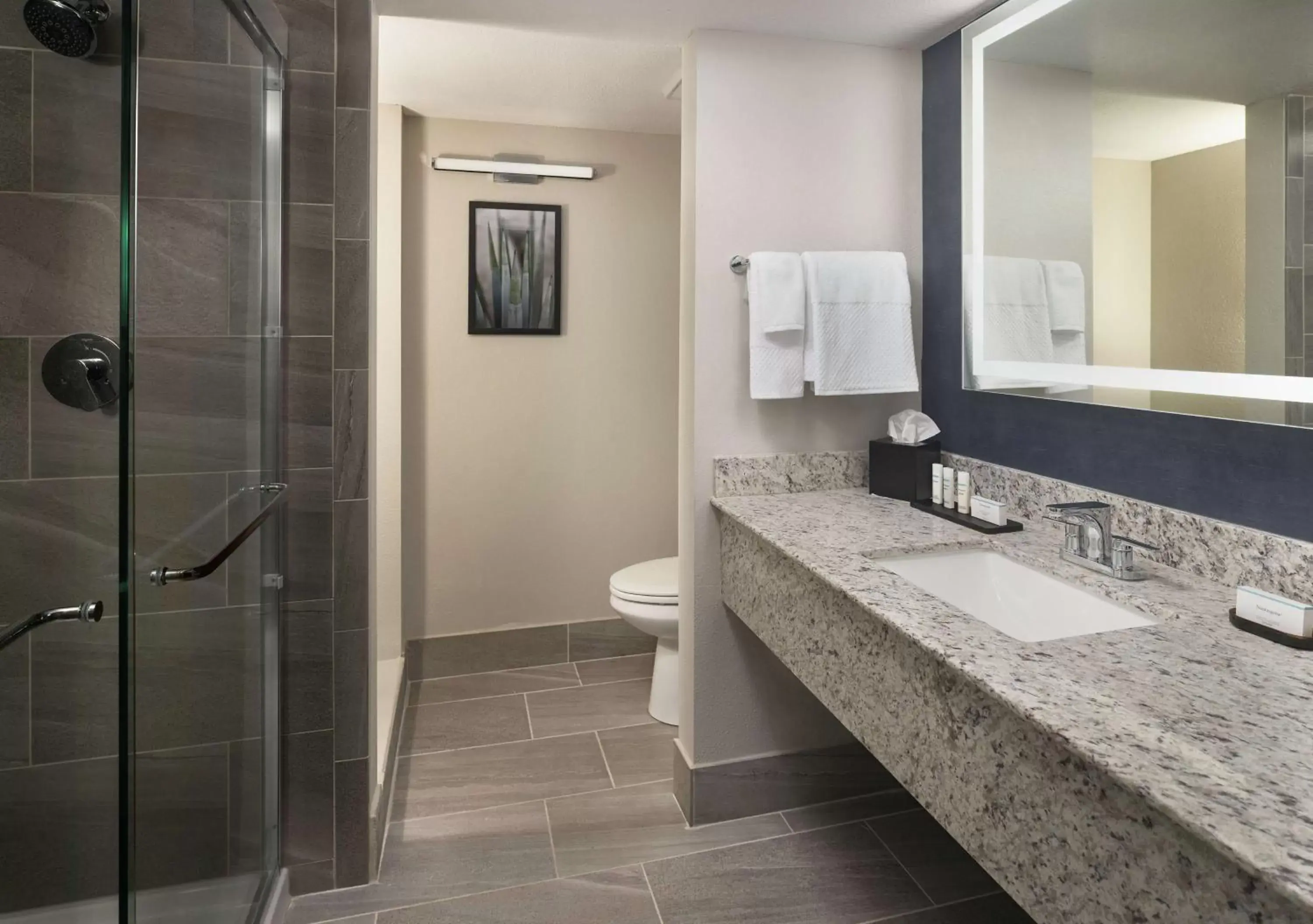 Bathroom in Embassy Suites by Hilton Tucson East