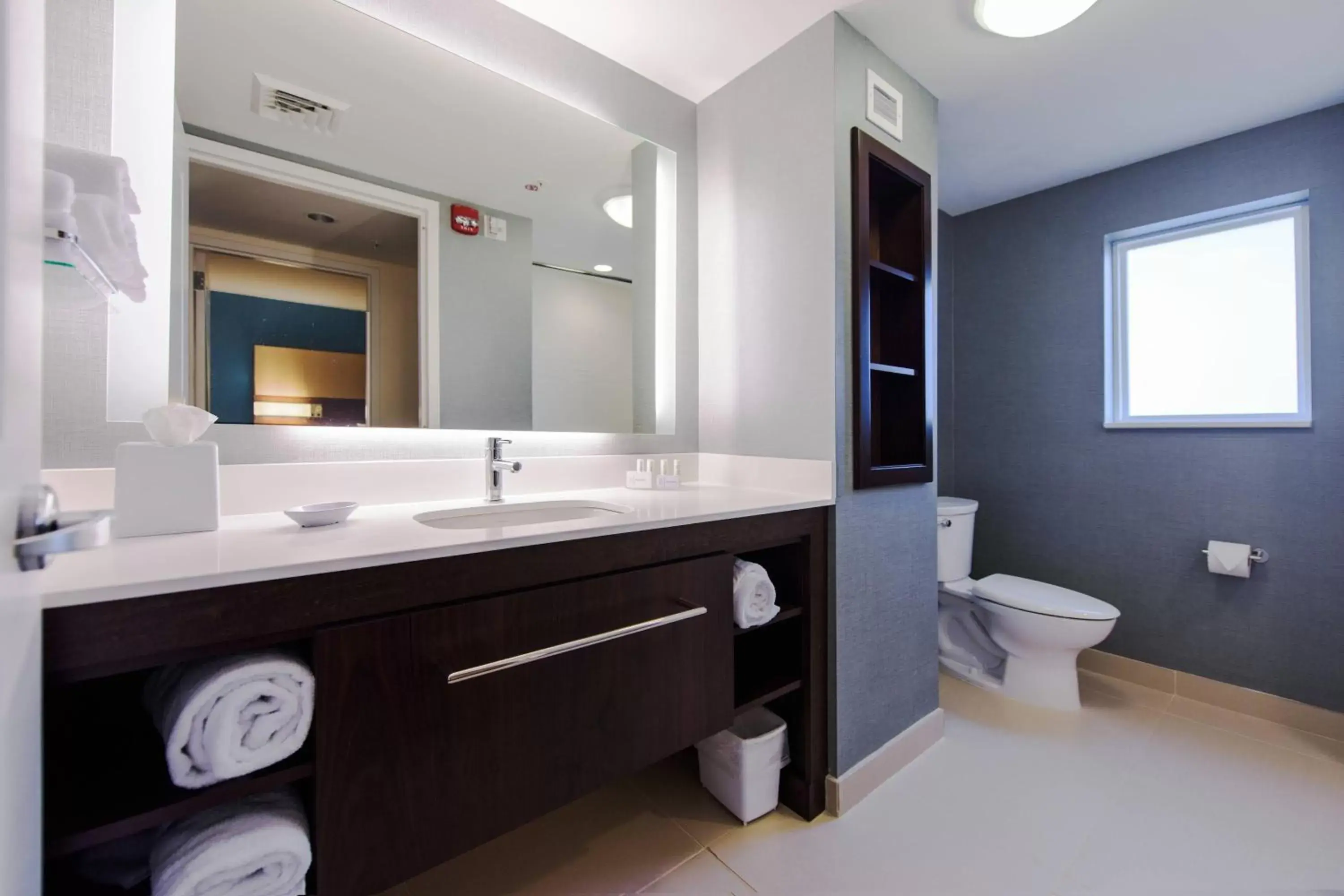 Bathroom in Residence Inn by Marriott Philadelphia Glen Mills/Concordville