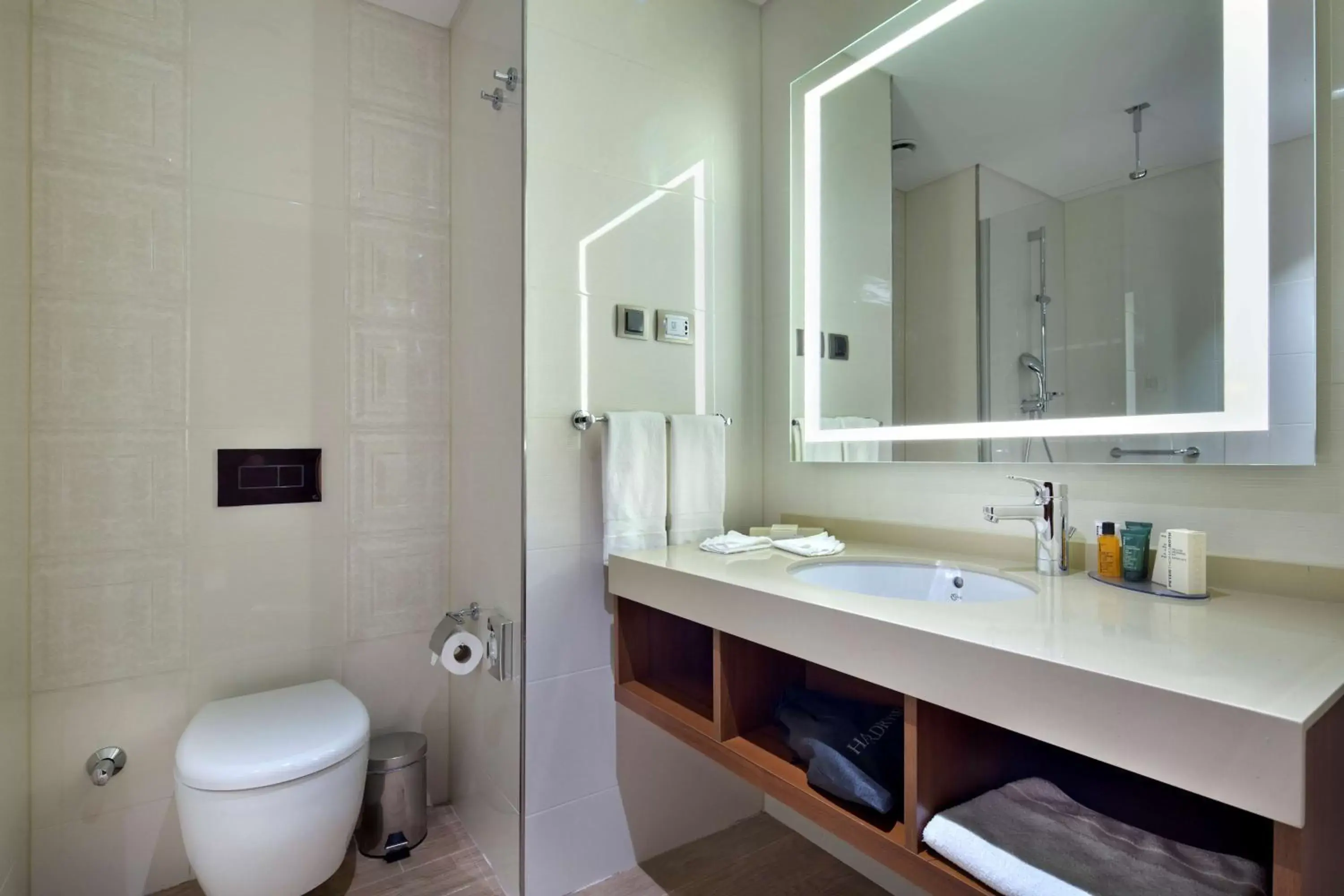 Bathroom in Hilton Garden Inn Istanbul Beylikduzu