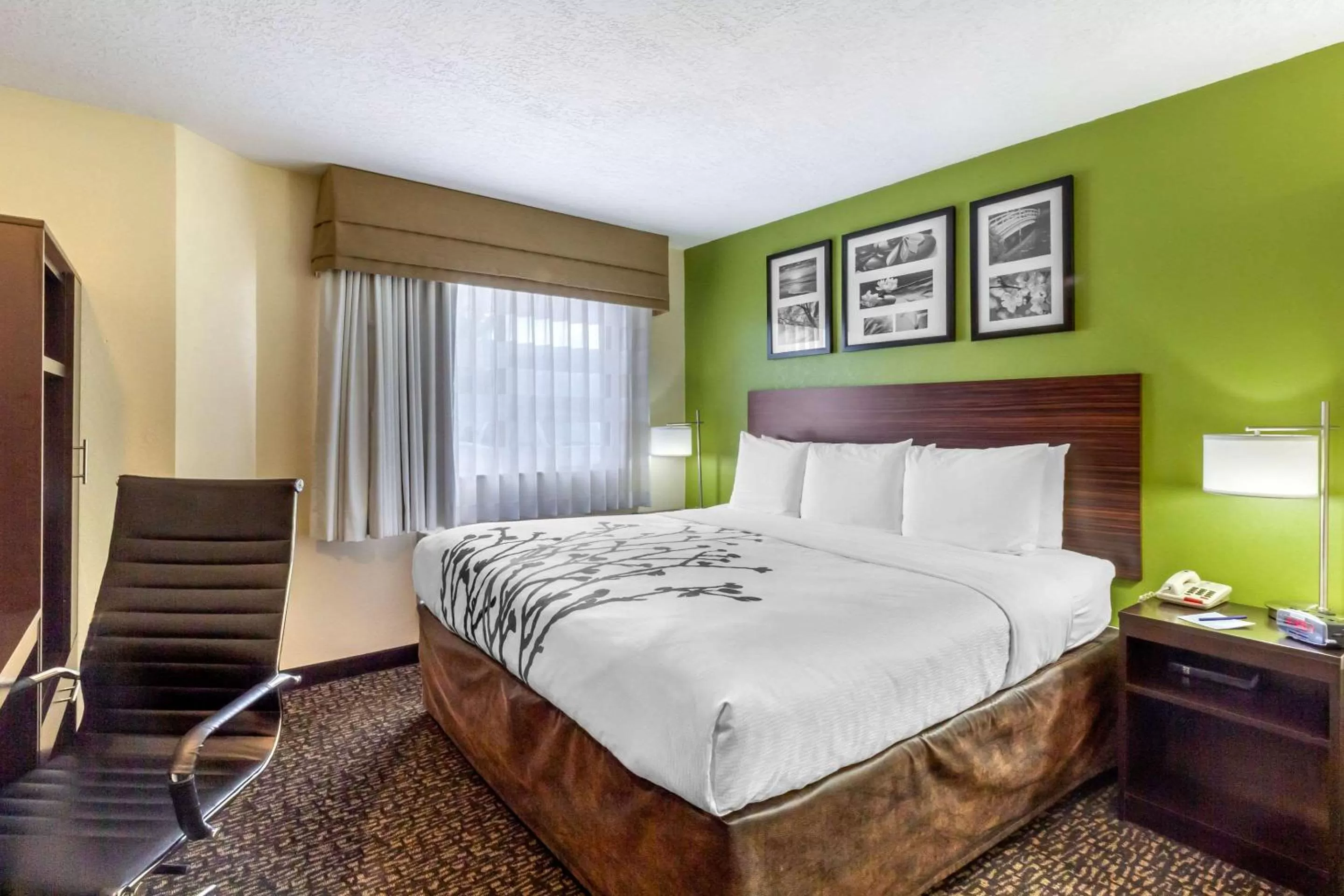 Photo of the whole room, Bed in Sleep Inn Ogden near Event Center