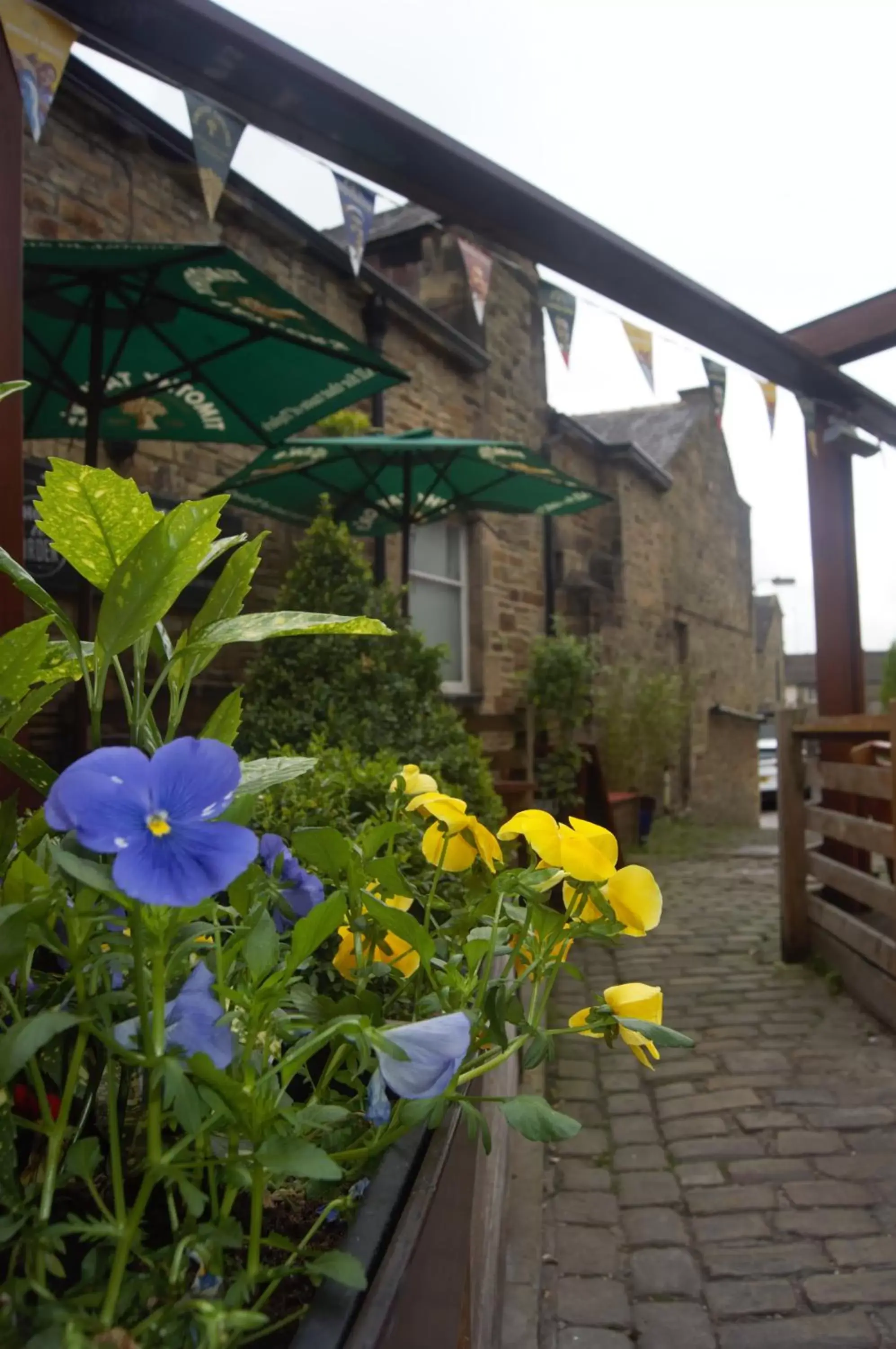 Garden, Property Building in The Woolly Sheep Inn