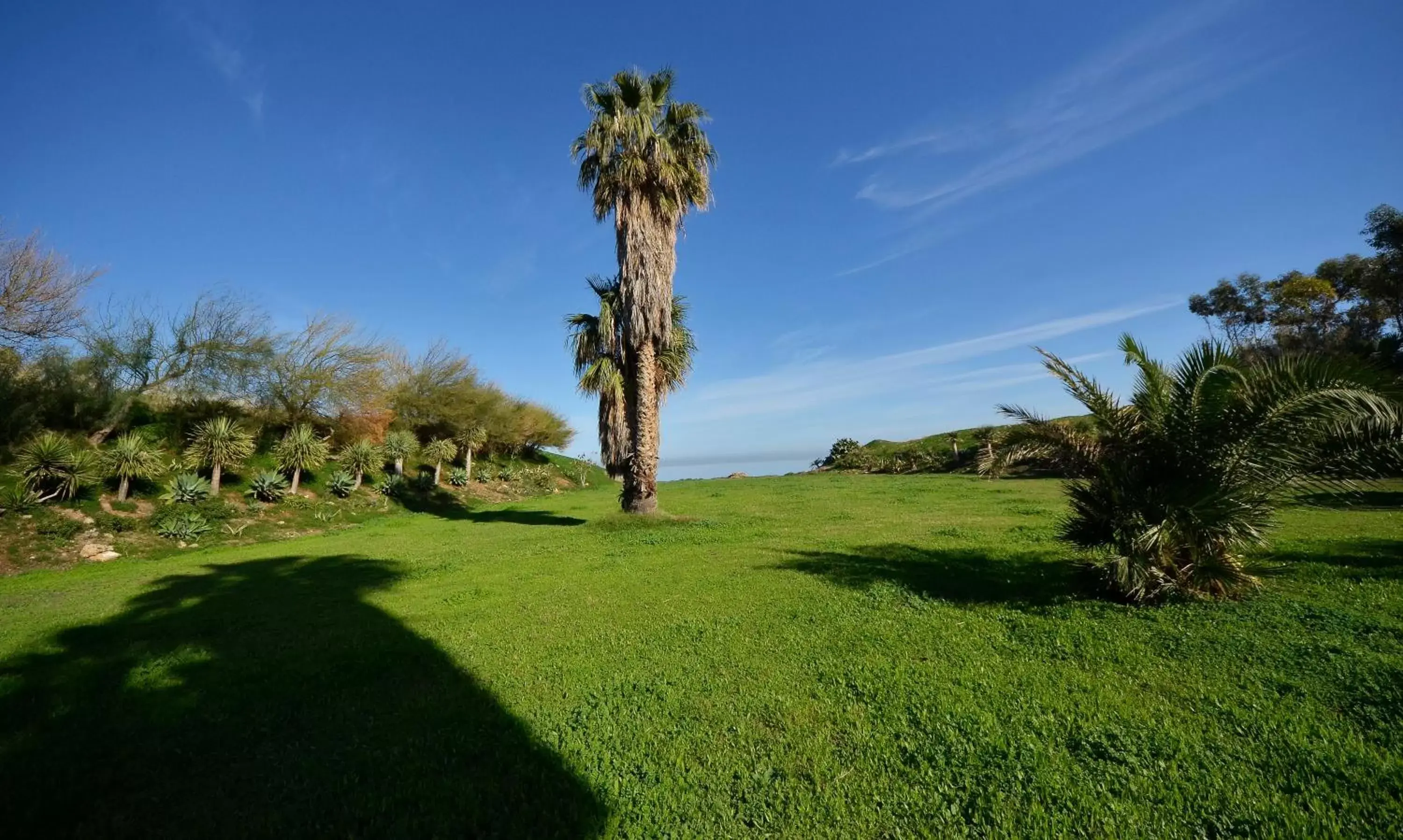 Neighbourhood, Garden in Hotel Villa d'Amato