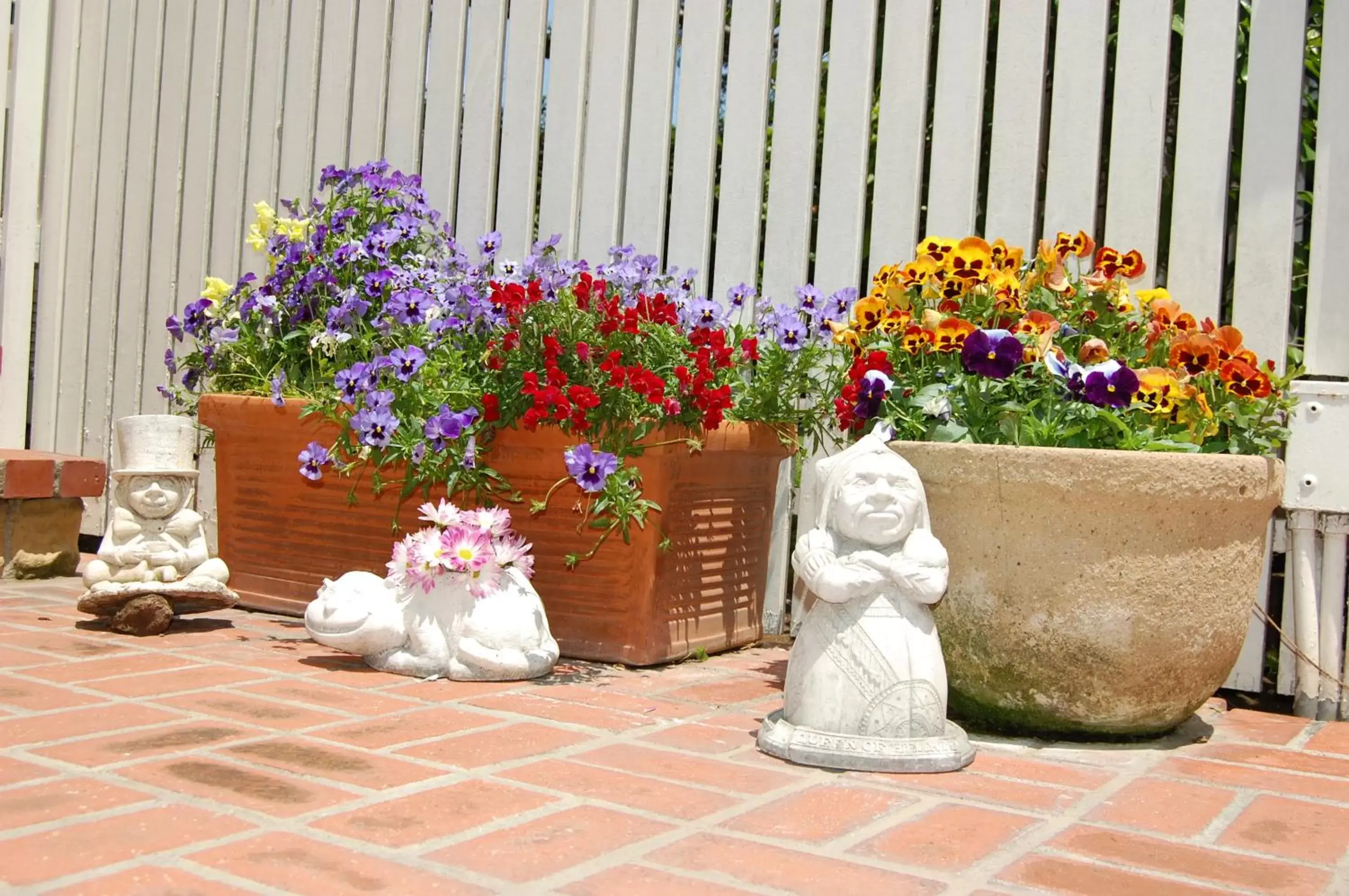 Garden view in Cheshire Cat Inn & Cottages