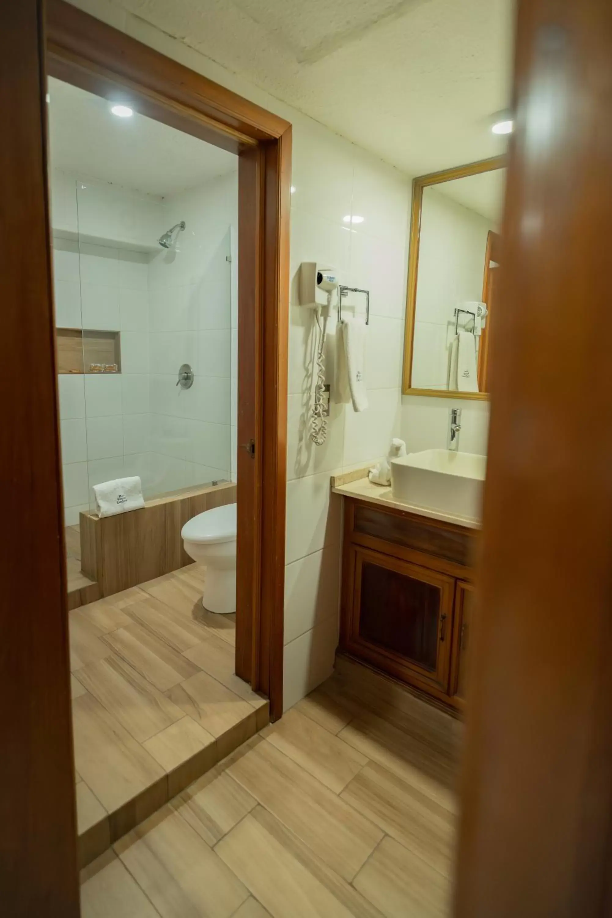 Bathroom in Hotel Santiago De Compostela - Guadalajara Centro Historico