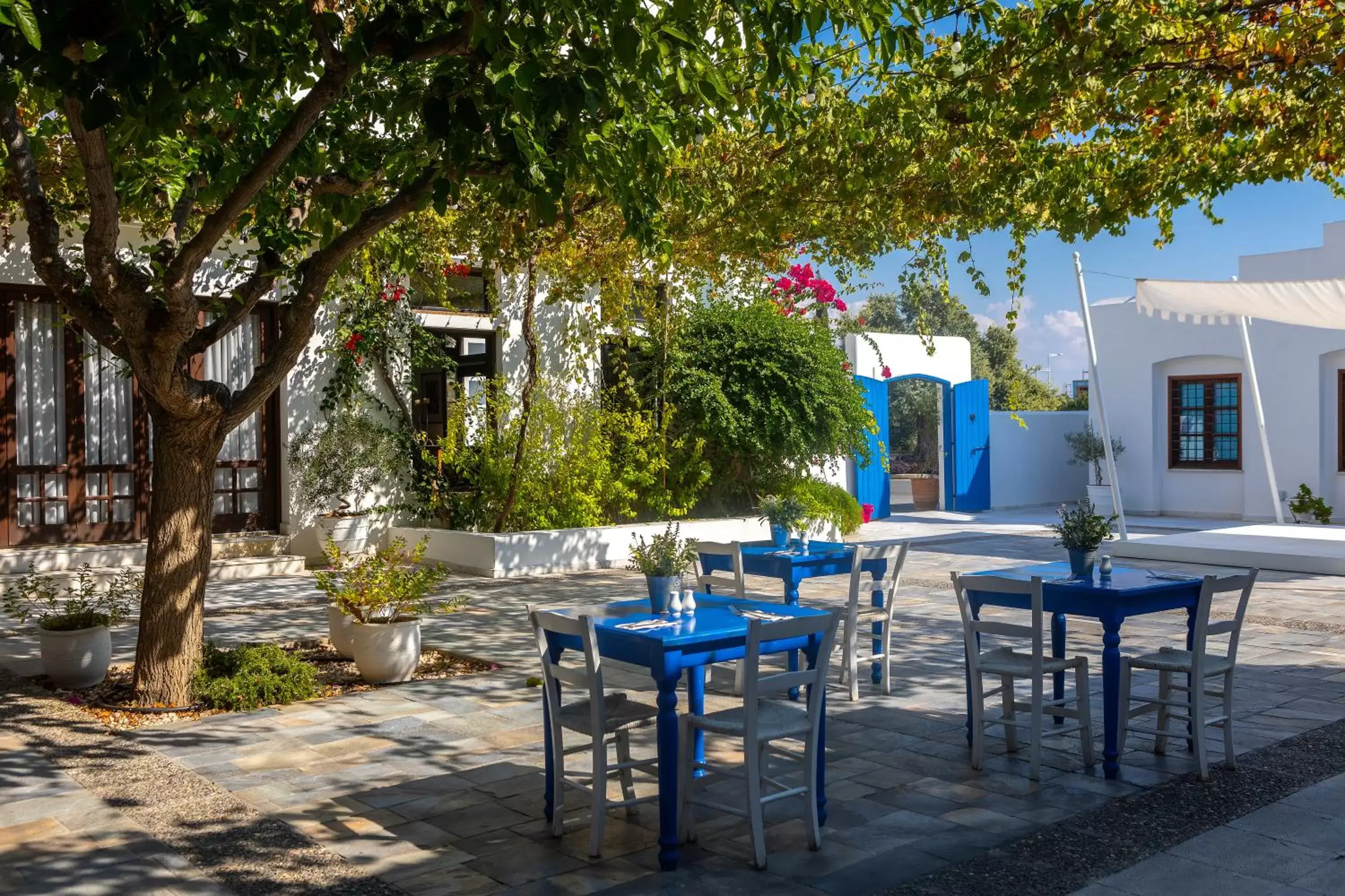 Restaurant/places to eat in Aliathon Aegean Restaurant/places to eat in Aliathon Aegean