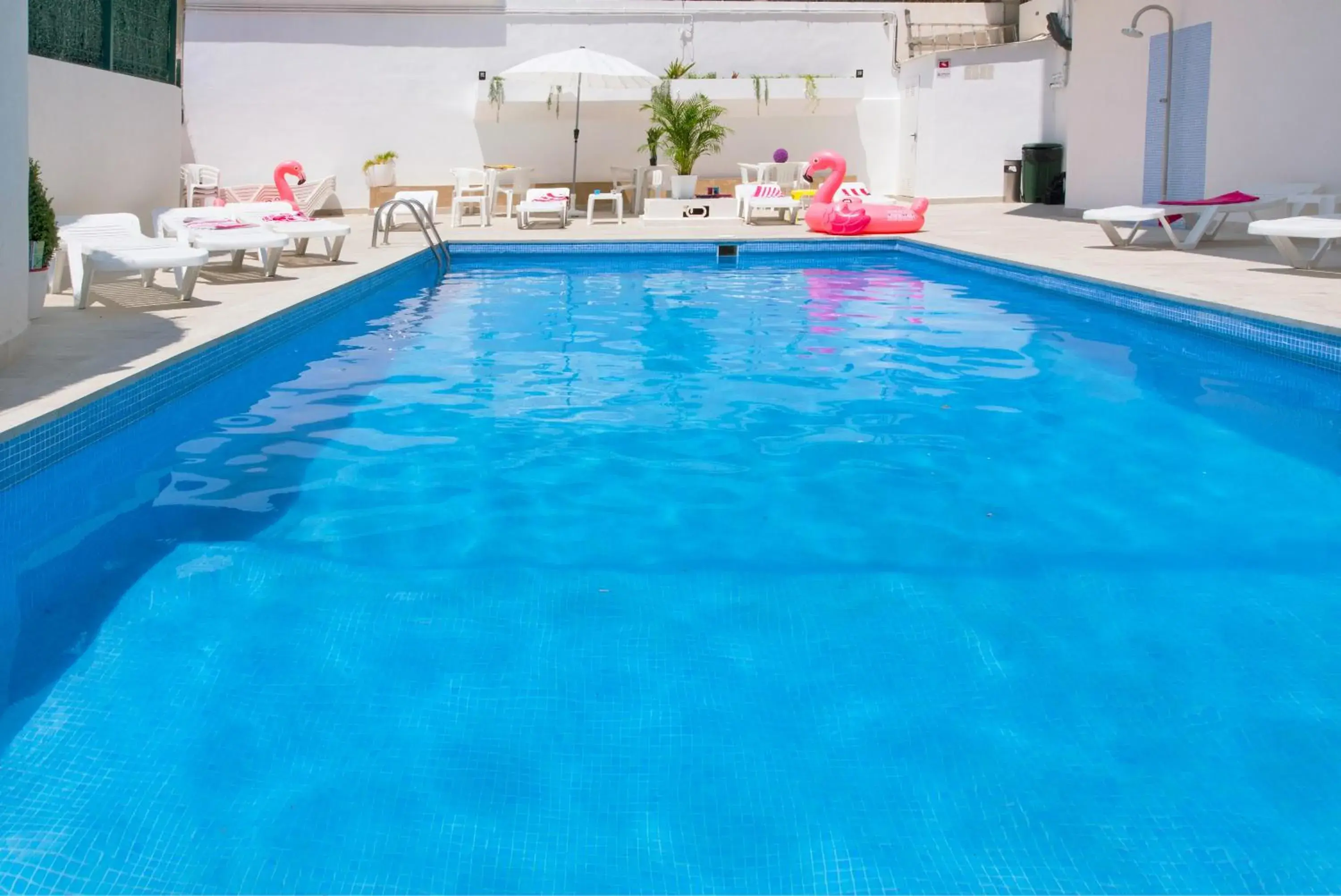 Swimming pool in My Pretty Payma Apartamentos