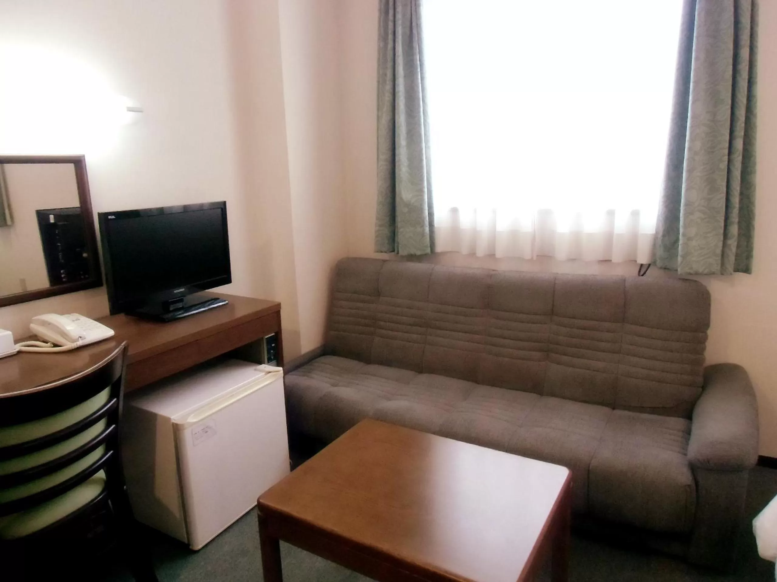 TV and multimedia in Hotel Green Line