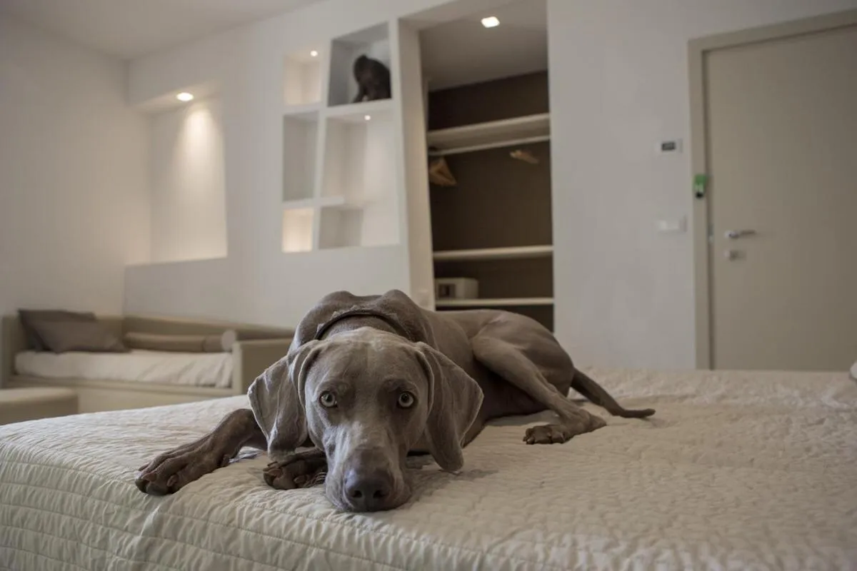 Bed in Hotel Principe SNC di Paloschi Valentina e Giulia