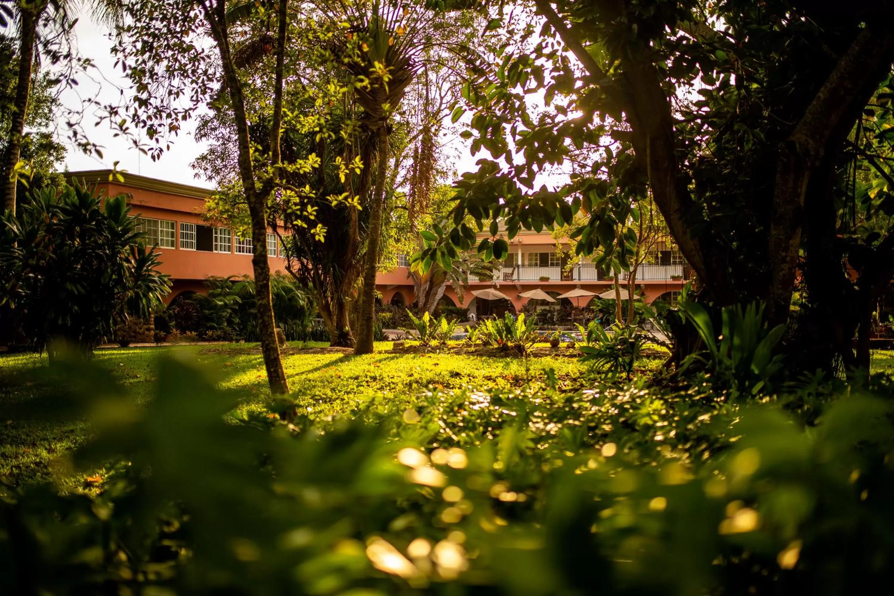 Garden view in Hotel Chichen Itza
