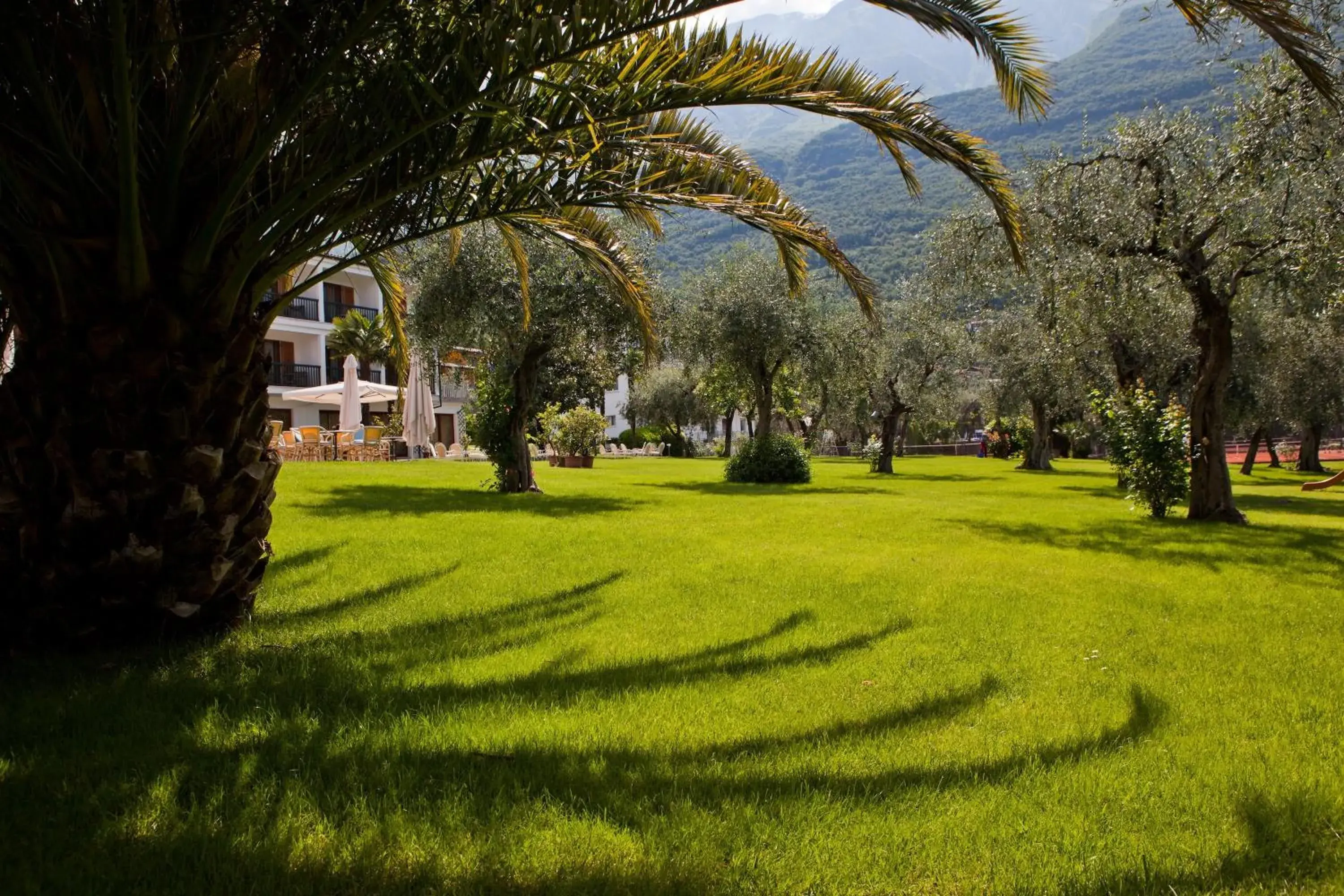 Facade/entrance, Garden in Club Hotel Olivi - Tennis Center