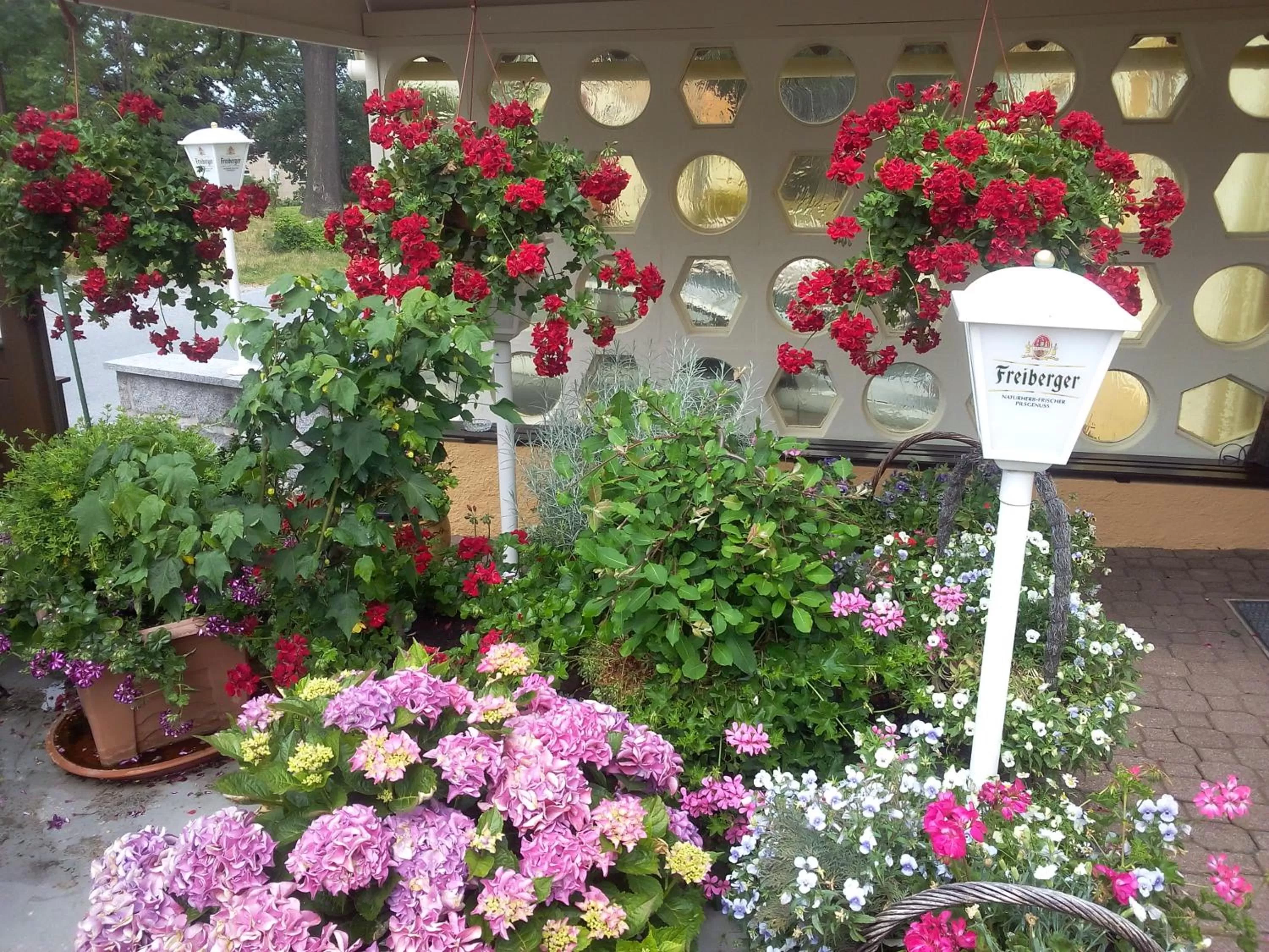 Property building in Hotel & Pension Aßmann