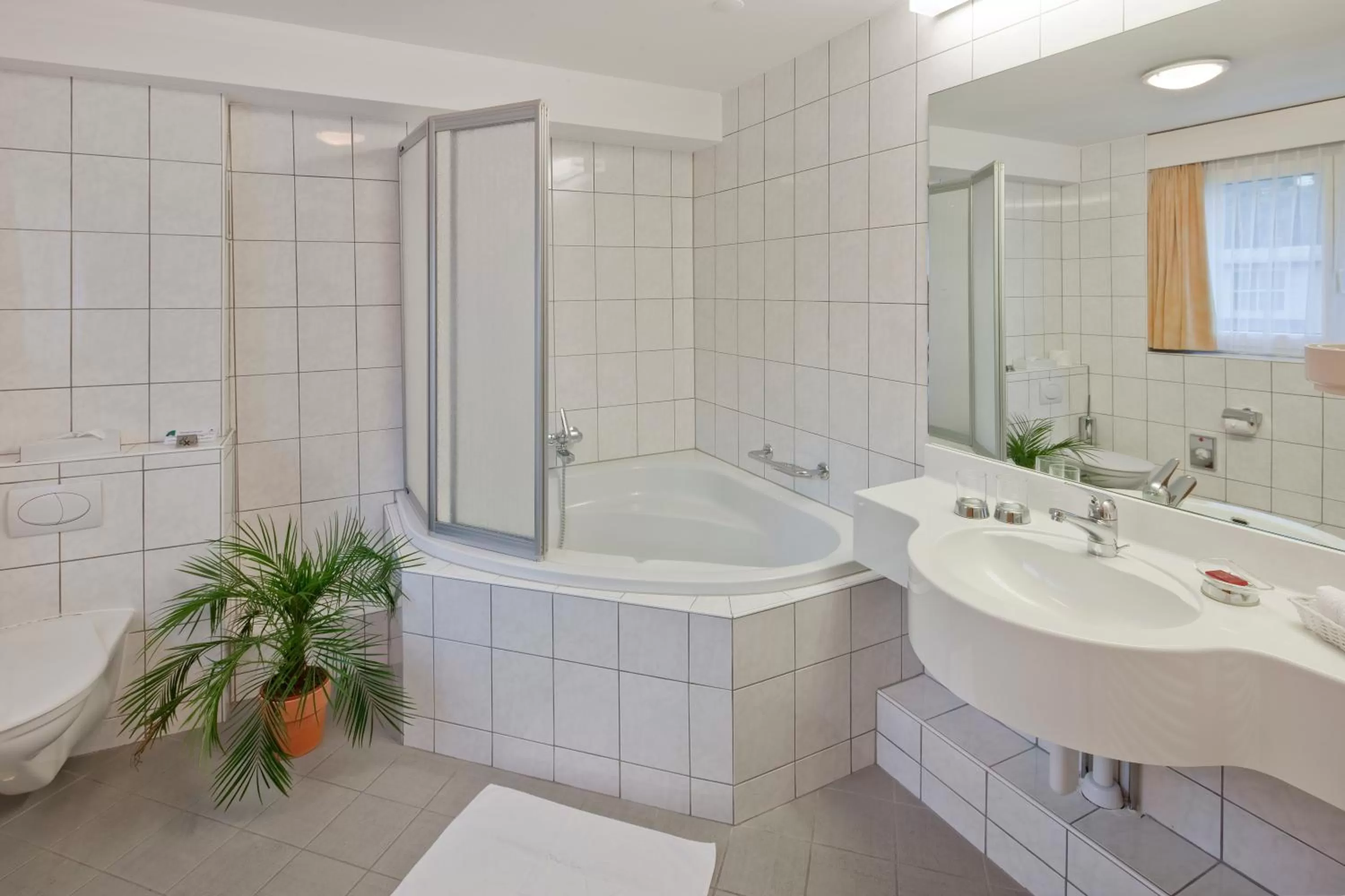 Bathroom in Hotel Alex Business & SPA