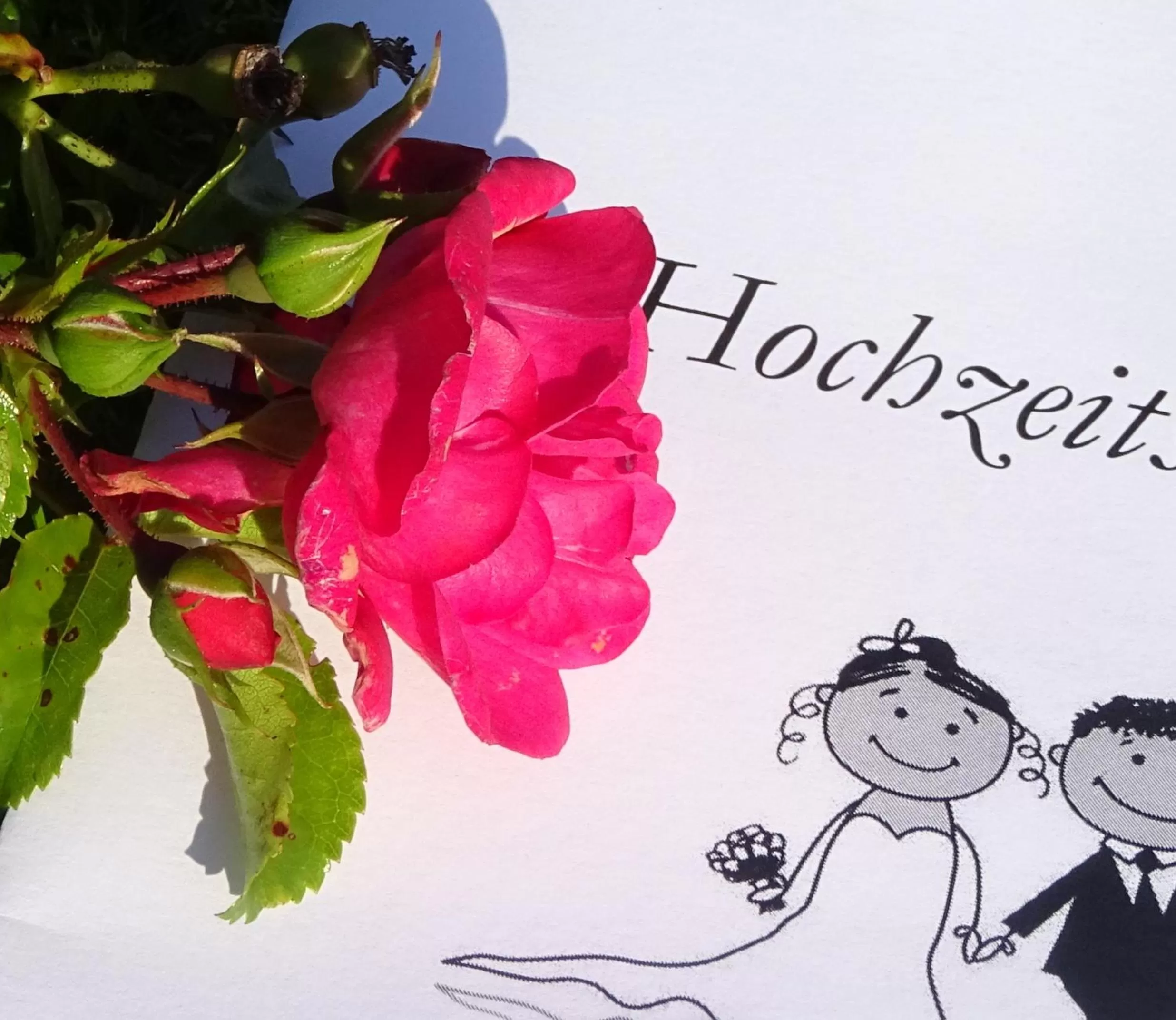 Restaurant/places to eat in Wreecher Hof