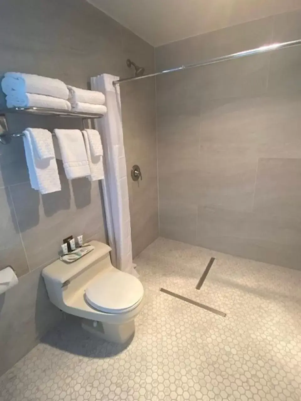 Shower, Bathroom in Elm House Inn