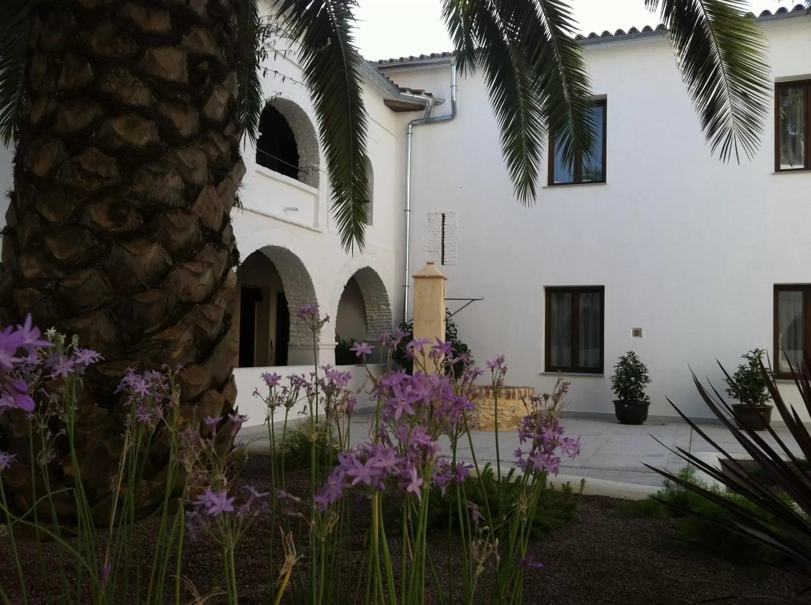 Garden, Property Building in Hotel Convento Aracena & SPA