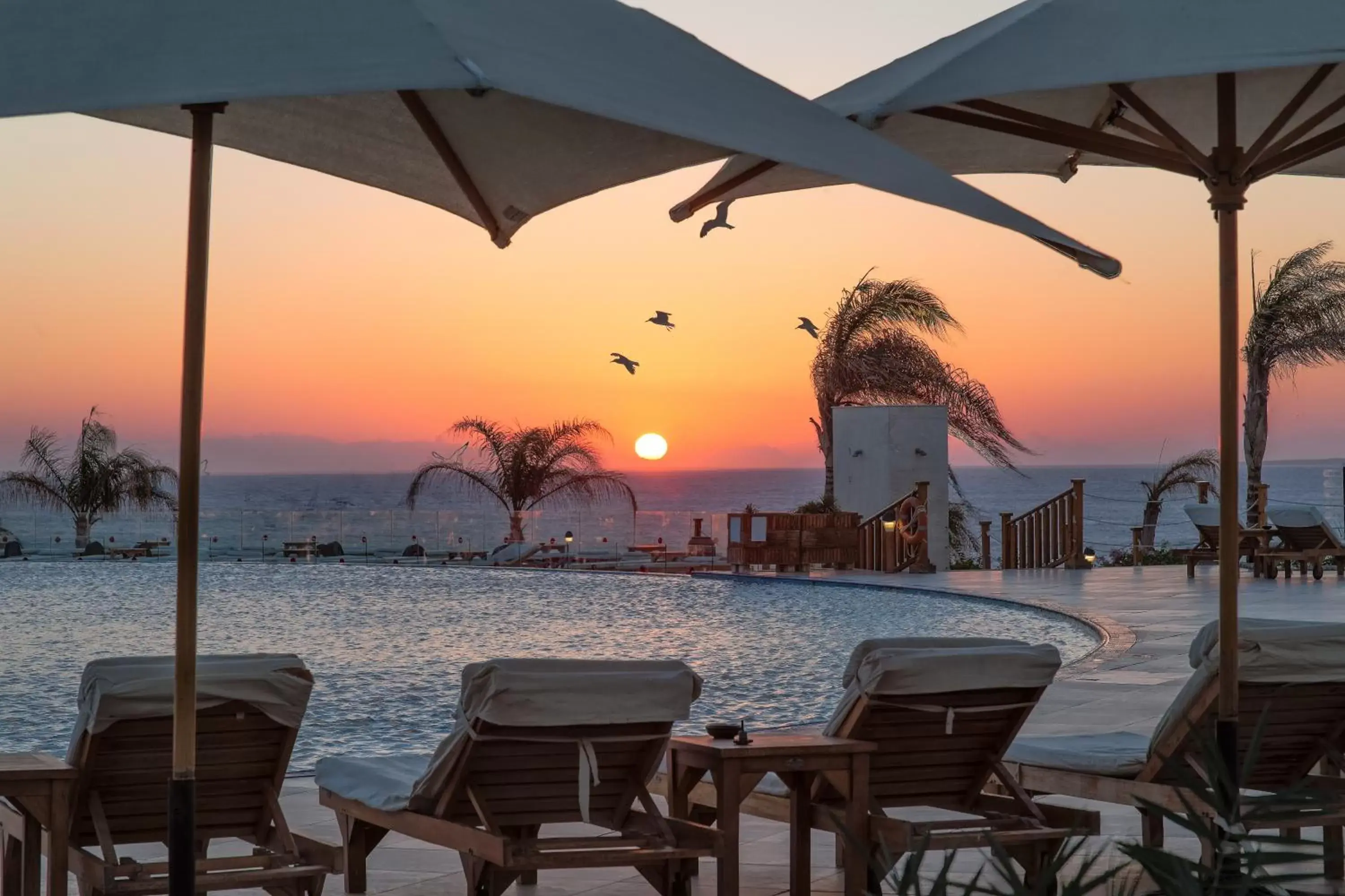 View (from property/room), Sunrise/Sunset in Cleopatra Luxury Resort Sharm El Sheikh