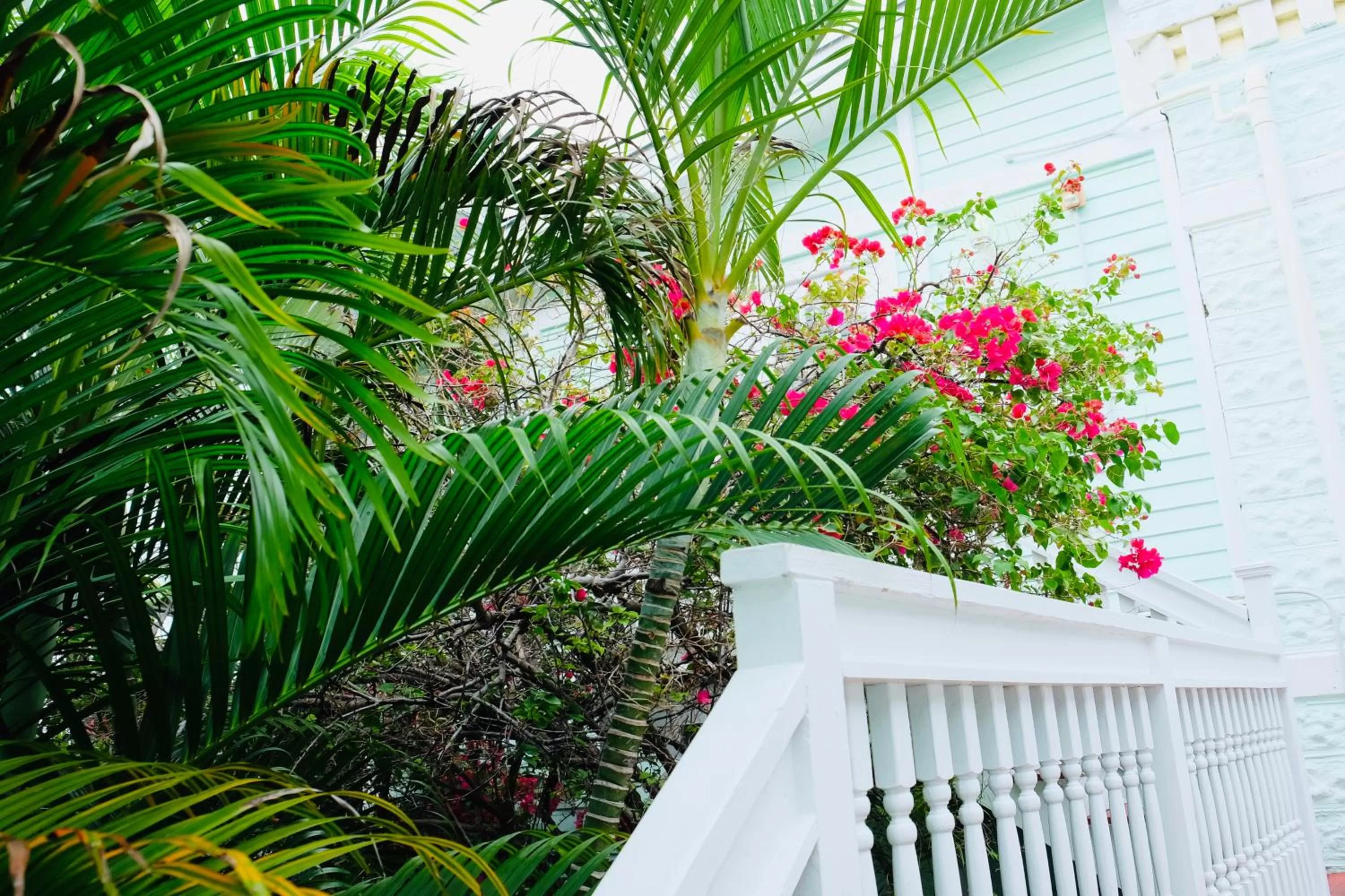 Balcony/Terrace in The Casablanca Hotel