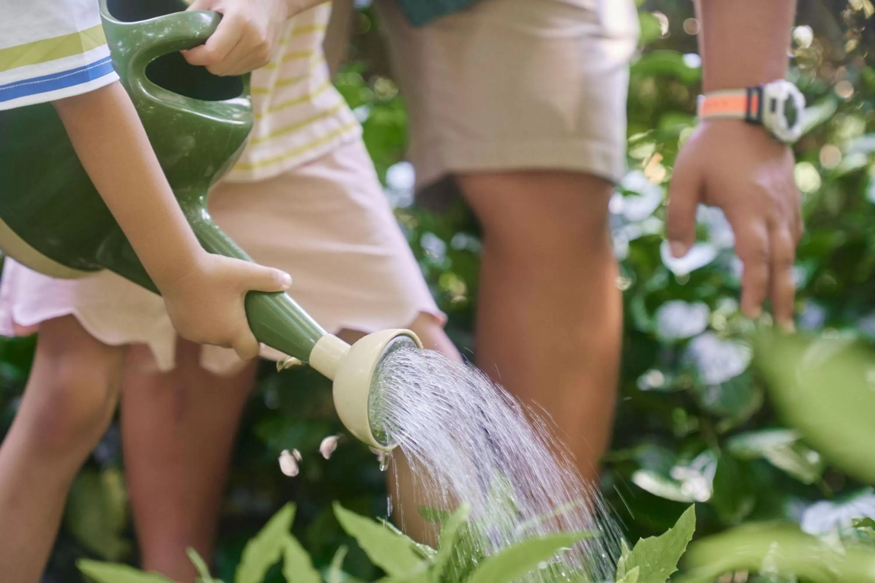 Other in The Ritz-Carlton Sanya, Yalong Bay