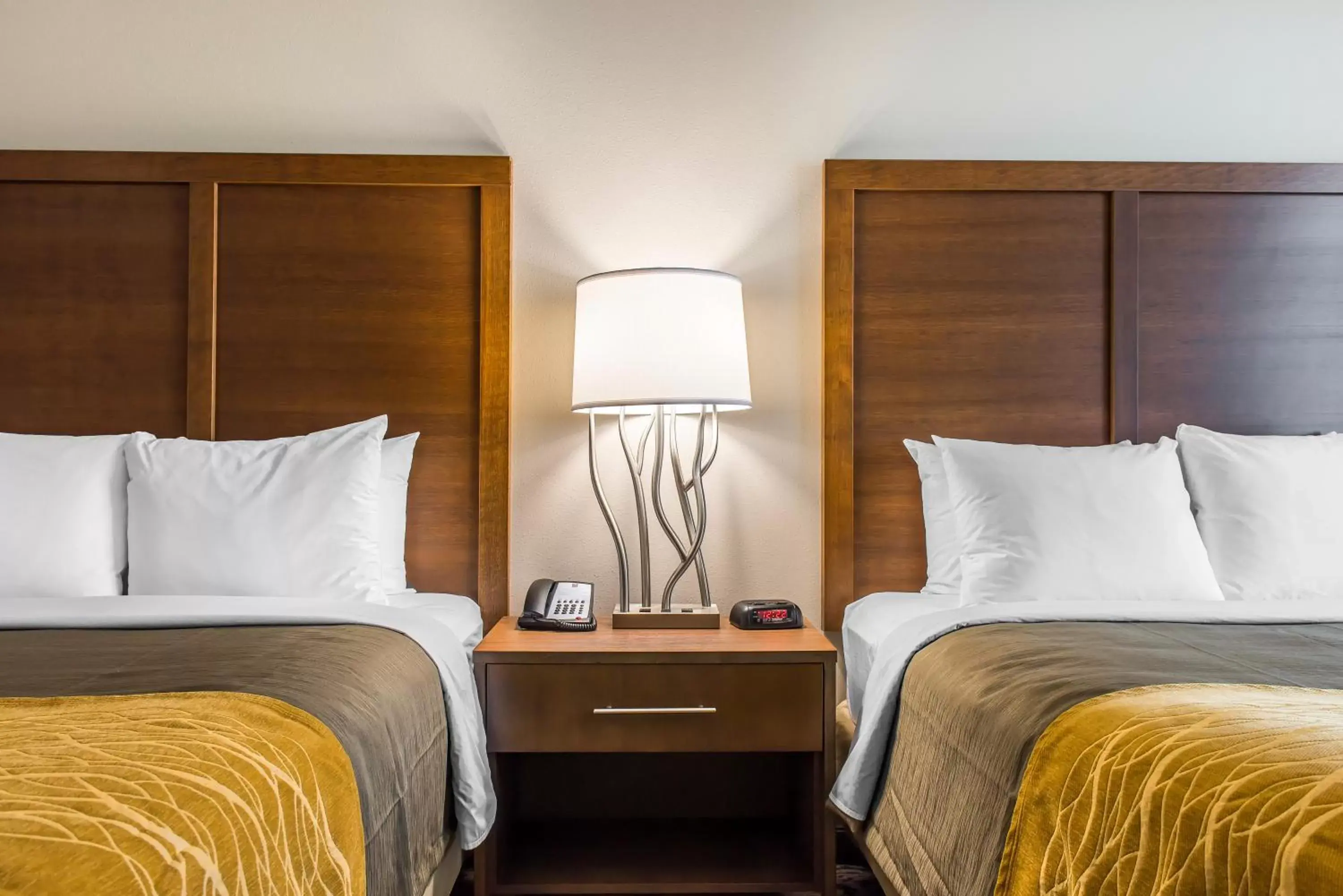 Bedroom, Room Photo in Comfort Inn & Suites Valdosta