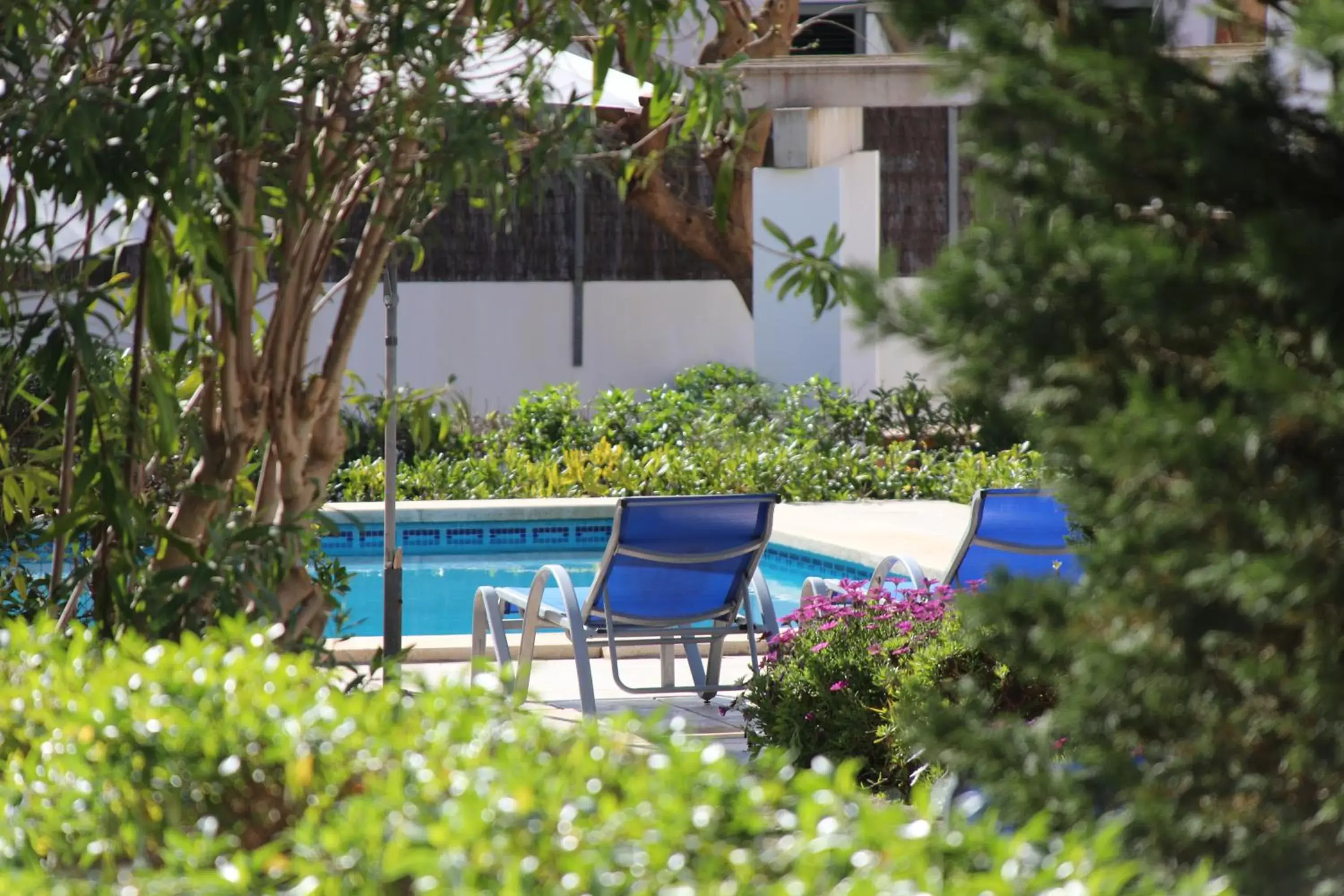 Swimming Pool in Hotel La Pergola Mallorca