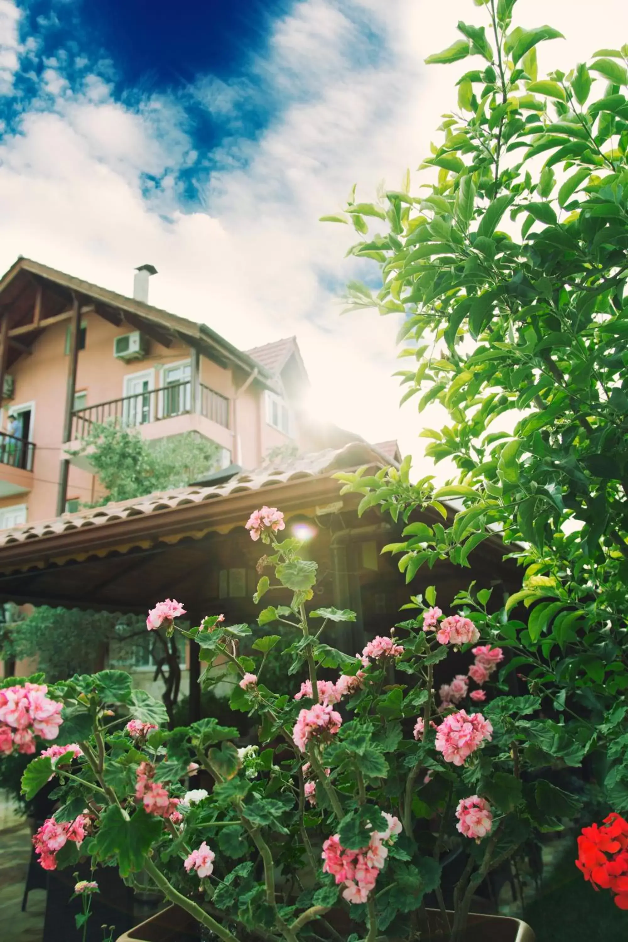 Garden, Property Building in Venus Hotel