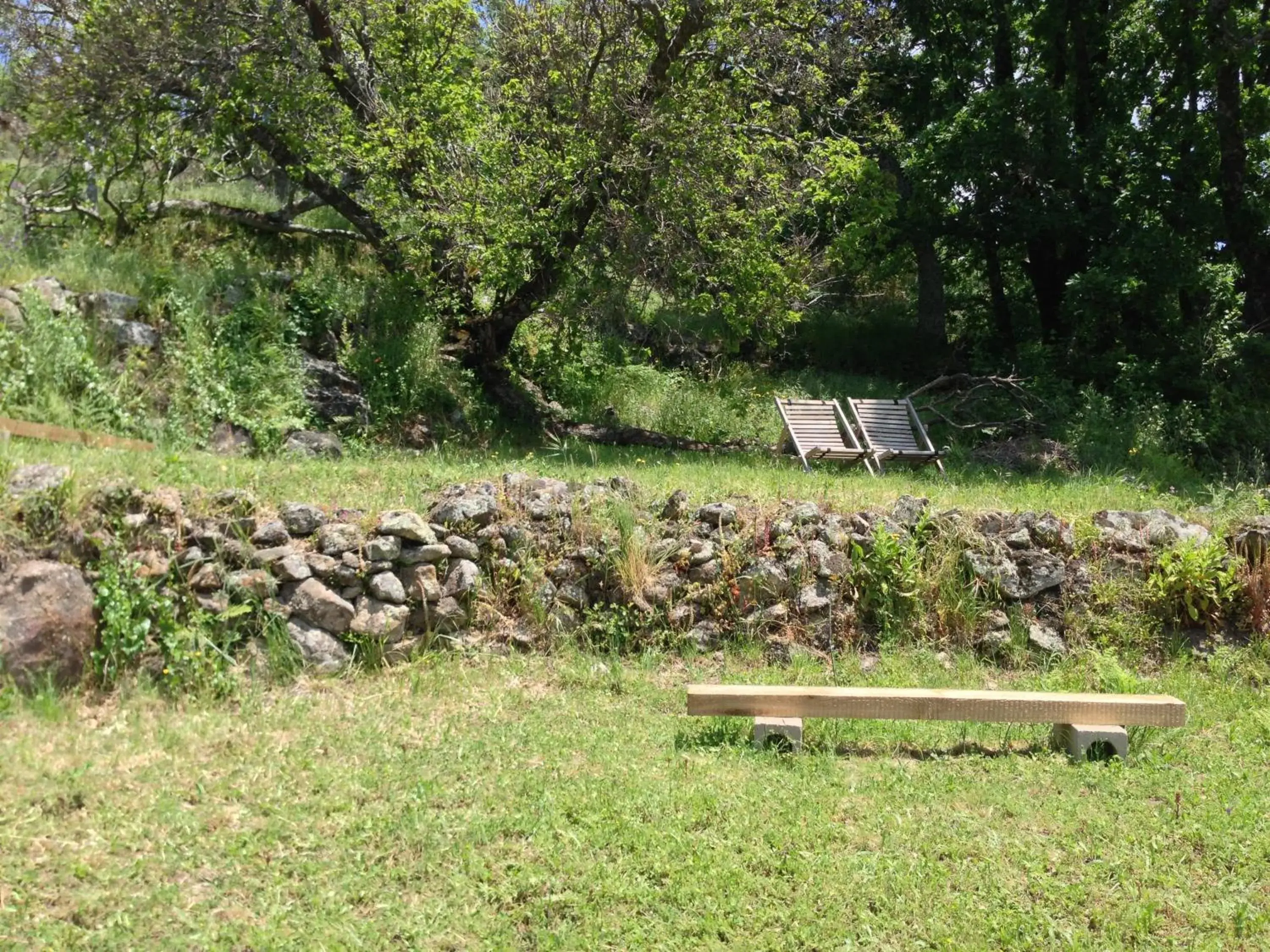 Garden in Hotel La Canela