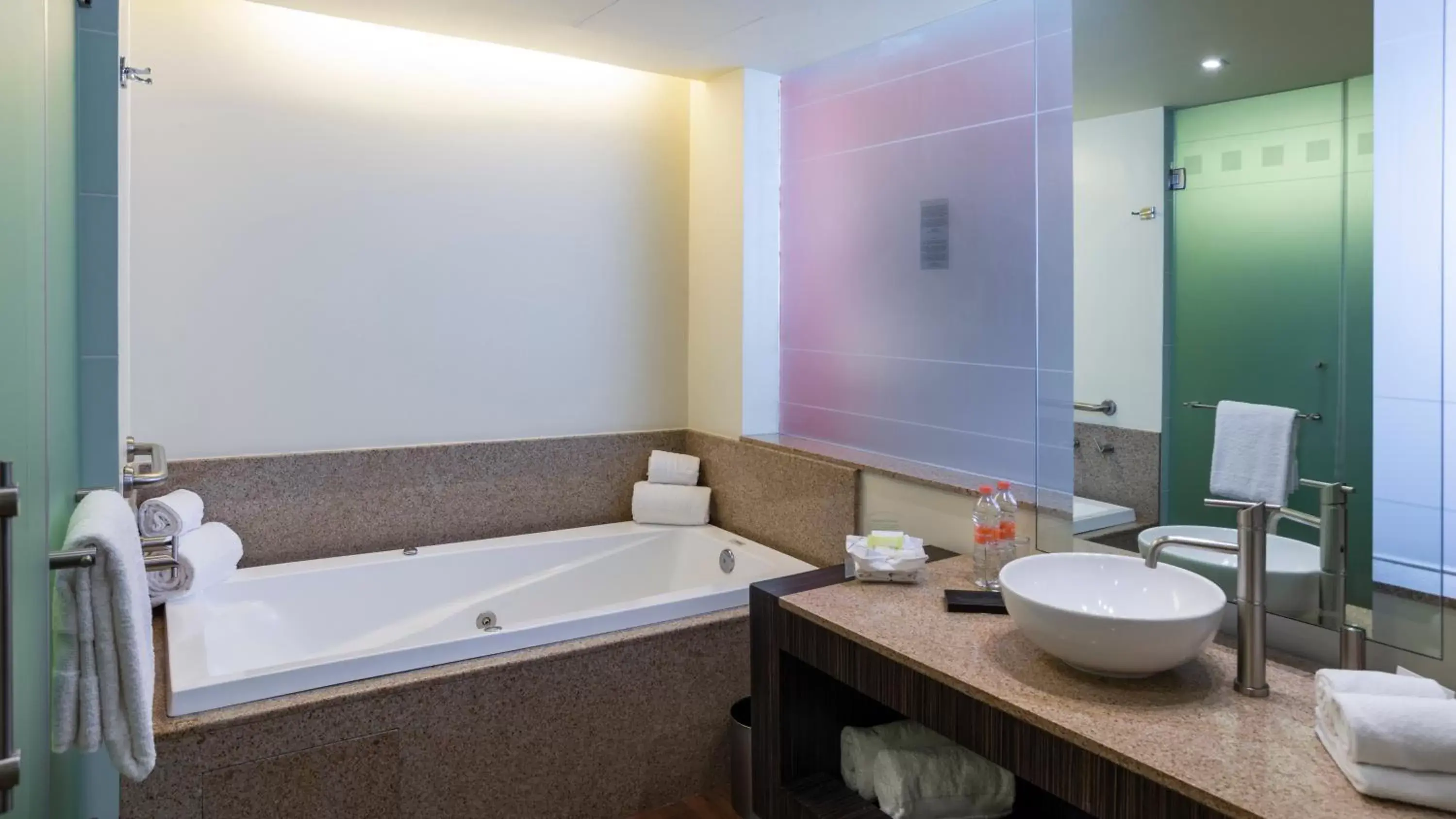 Bathroom in Holiday Inn Mexico City-Plaza Universidad, an IHG Hotel