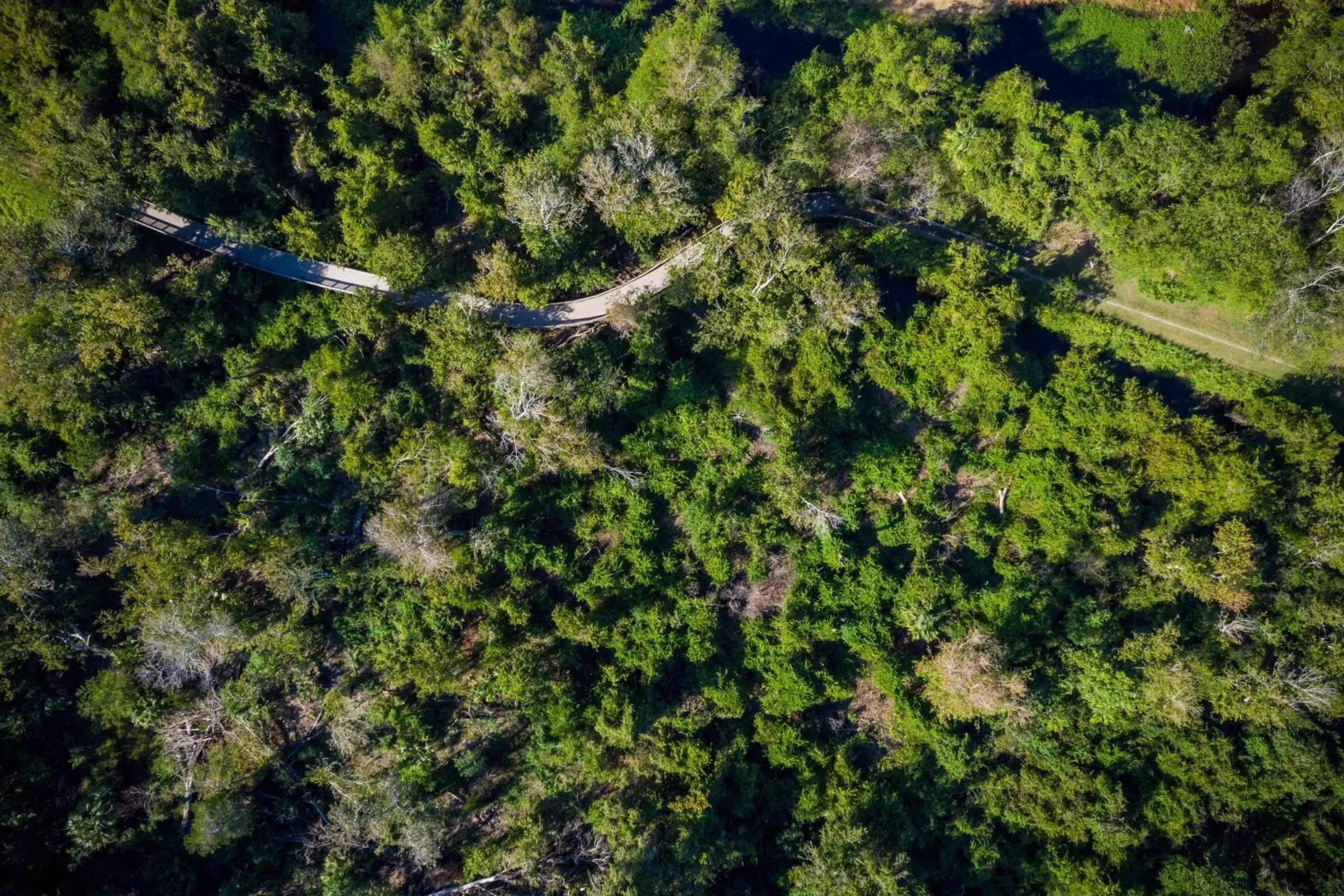 Other, Bird's-eye View in Residence Inn by Marriott Amelia Island