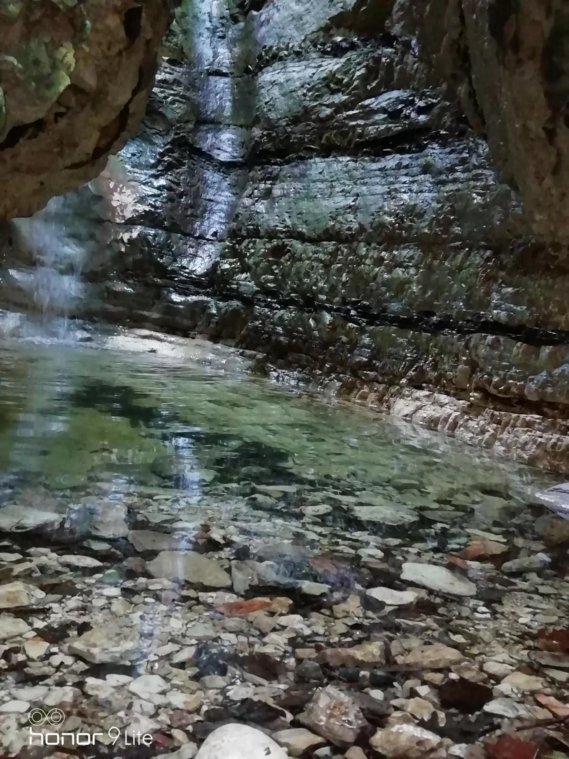 Restaurant/places to eat in Villa Biancofiore