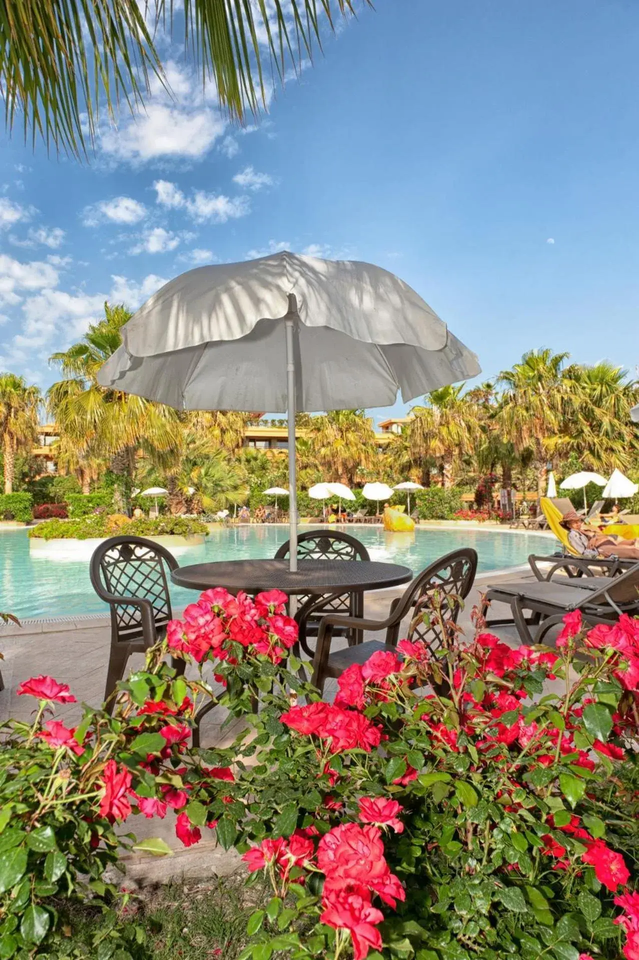 Swimming pool in Acacia Resort Parco Dei Leoni