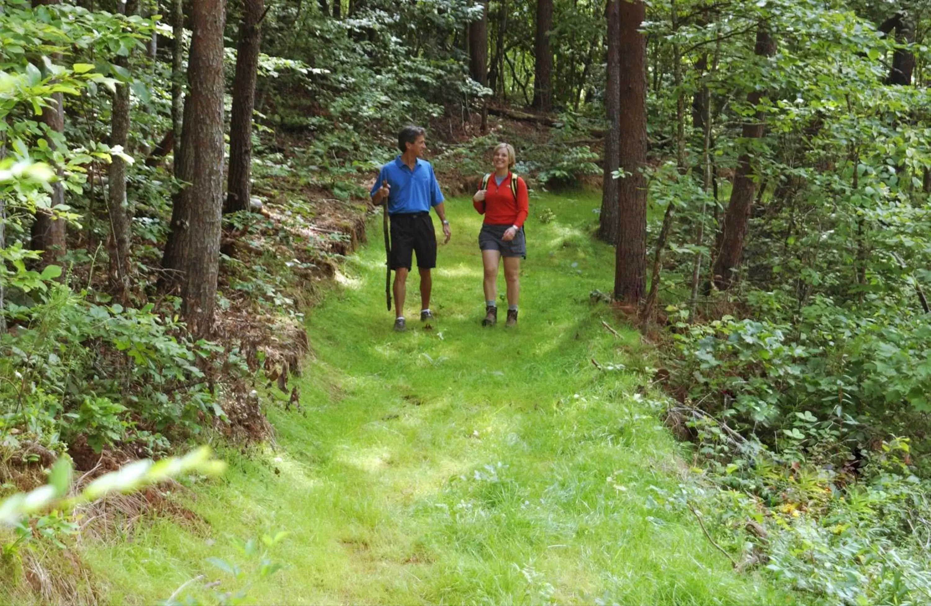 Hiking, Biking in Brasstown Valley Resort & Spa