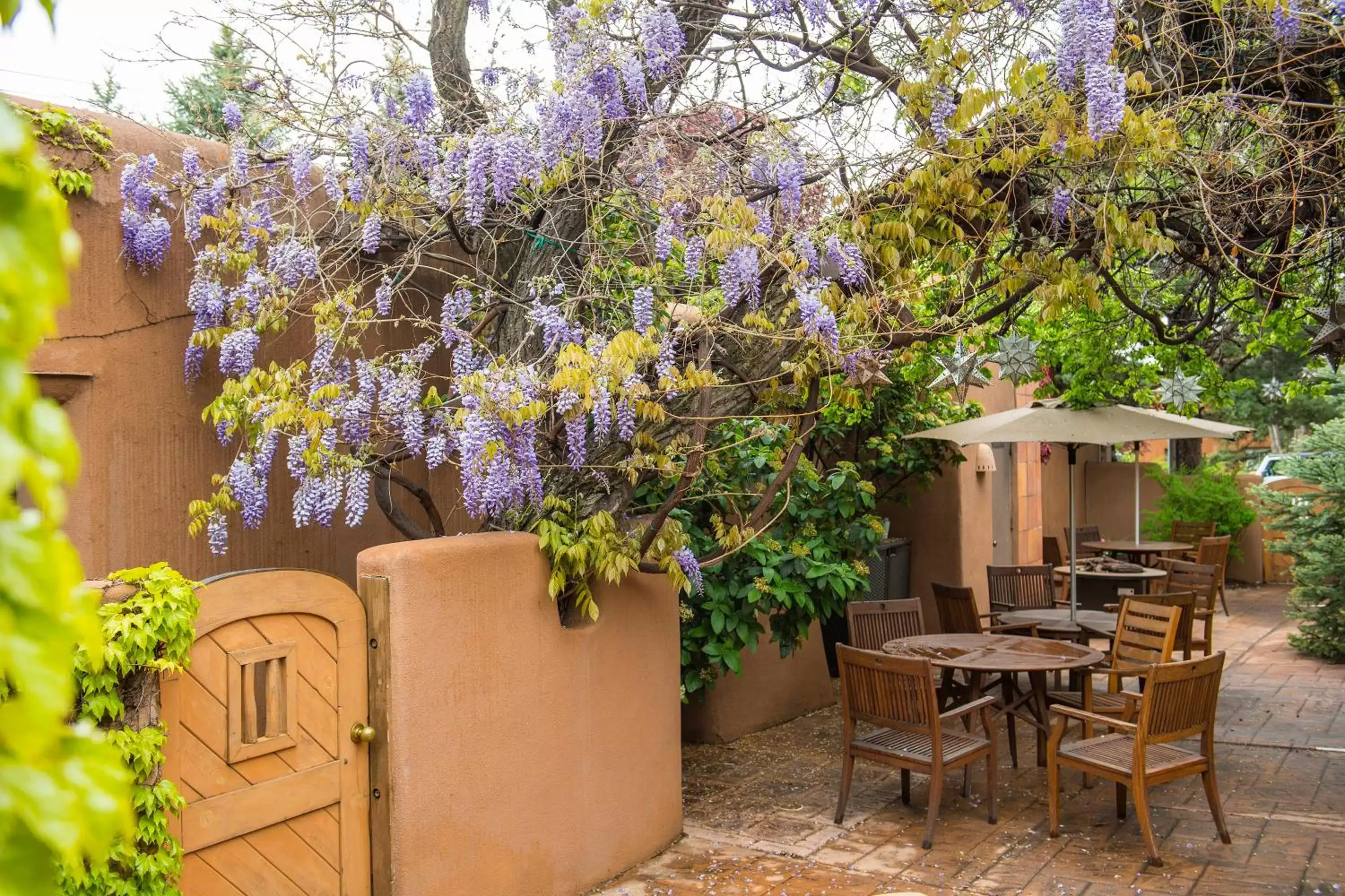 Garden in Inn on the Alameda