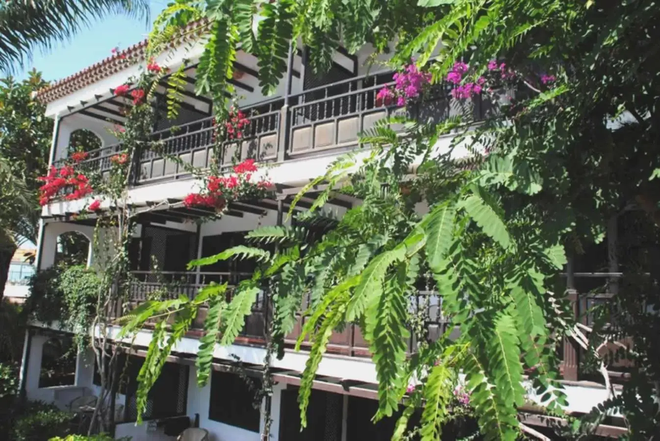 Garden, Property Building in Hotel Parque Tropical