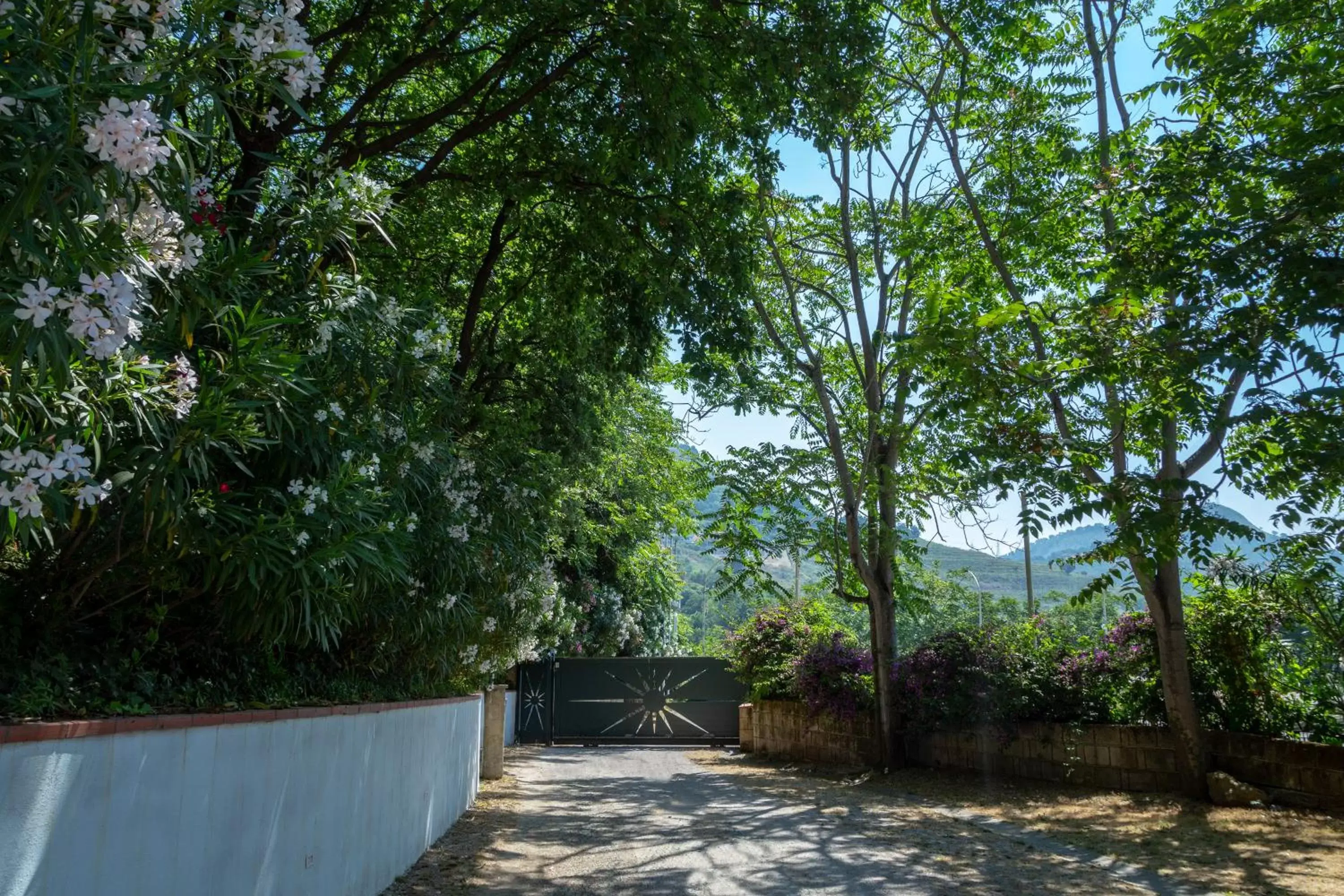Garden in Agave Hotel