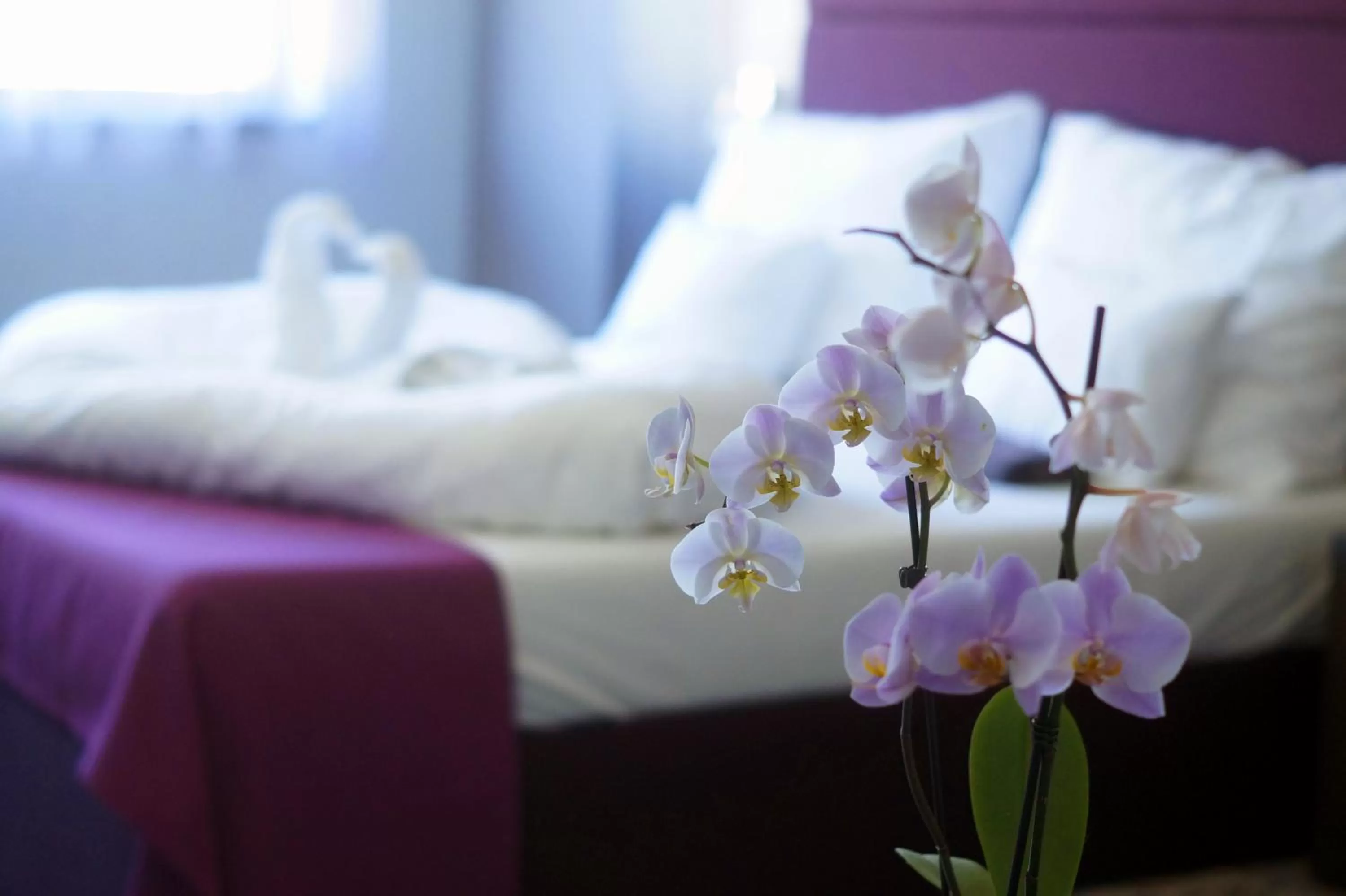 Fitromax Sportpanzió Ajka