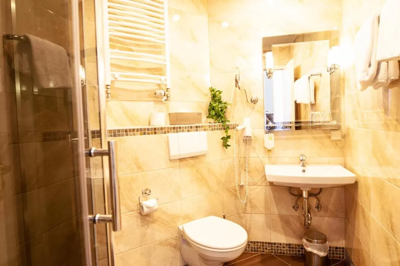 Toilet, Bathroom in Hotel Silesia