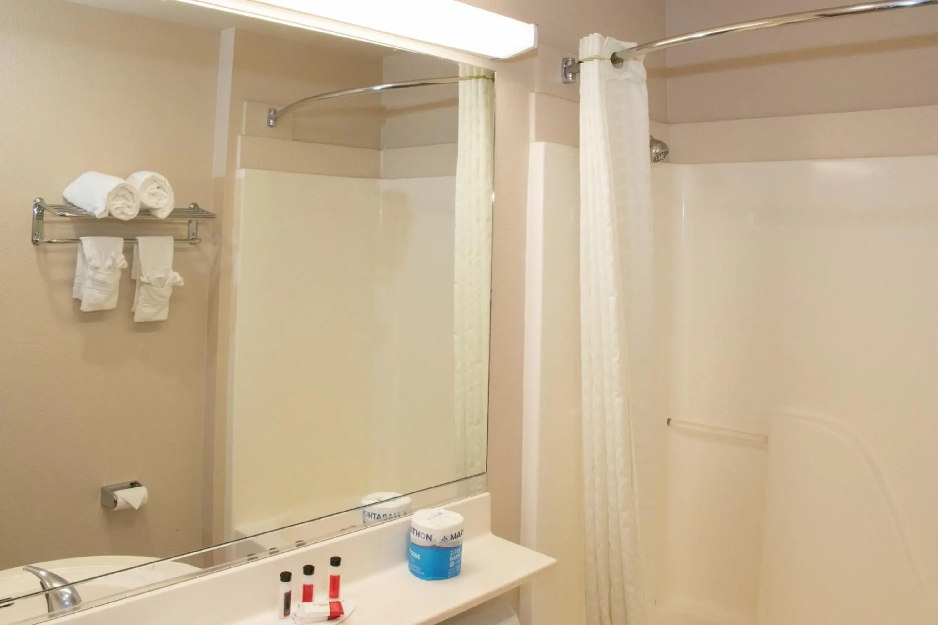 Bathroom in Microtel Inn & Suites Lodi