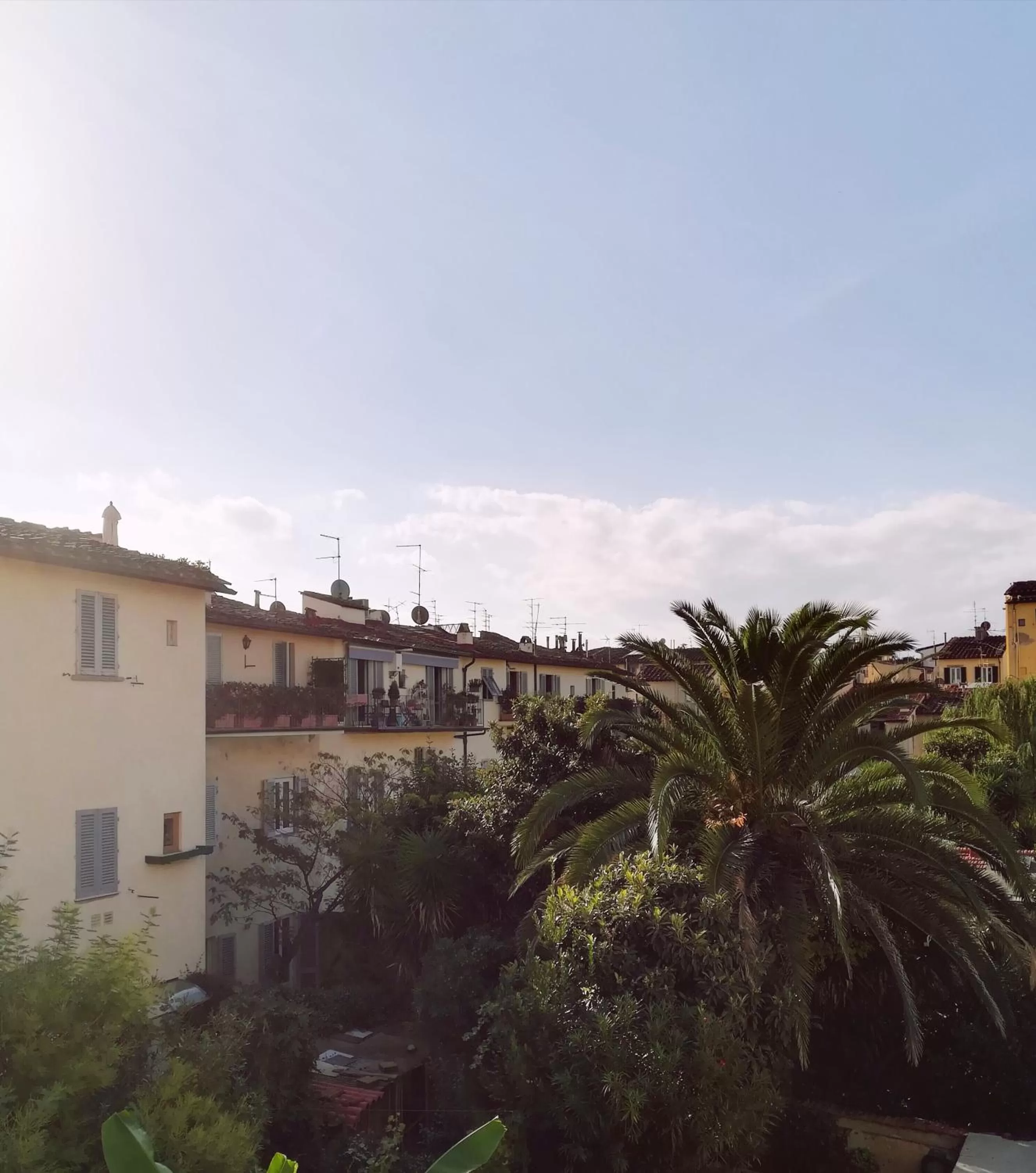 Garden view in In San Frediano B&B