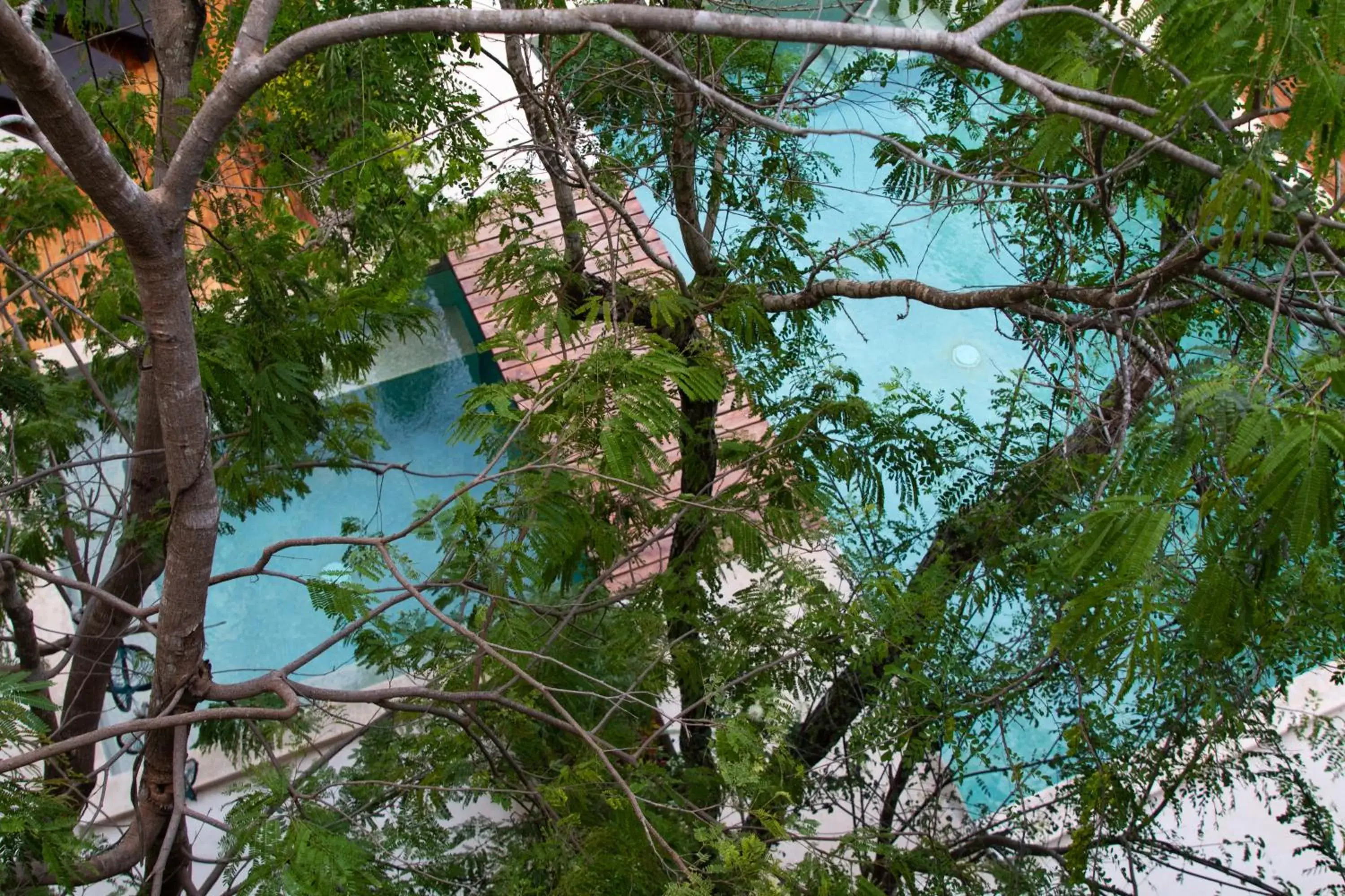 Pool view, Property Building in Little Gem Hotel Tulum La Veleta
