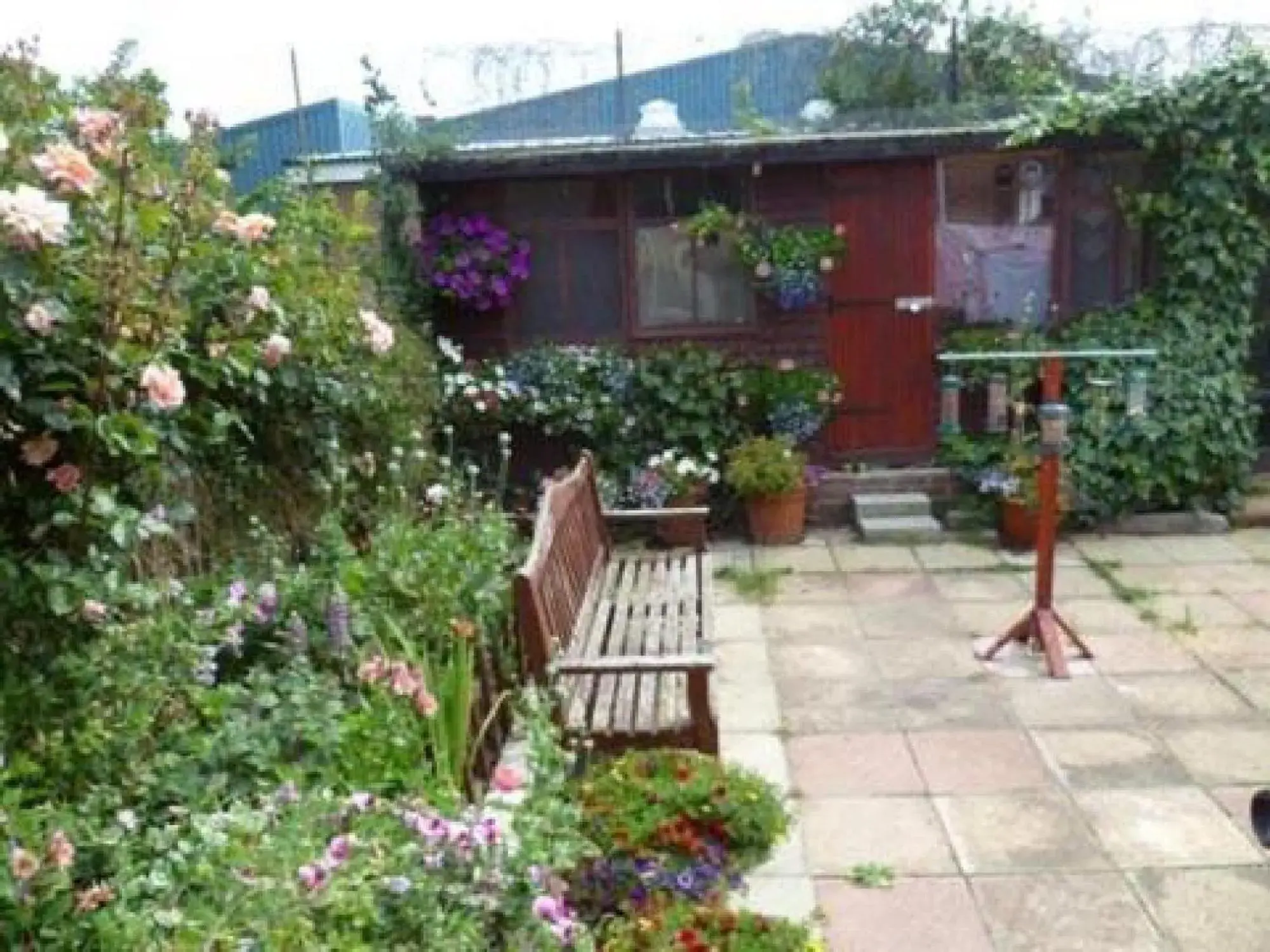 Garden, Property Building in OYO Belvedere Guest House, Great Yarmouth