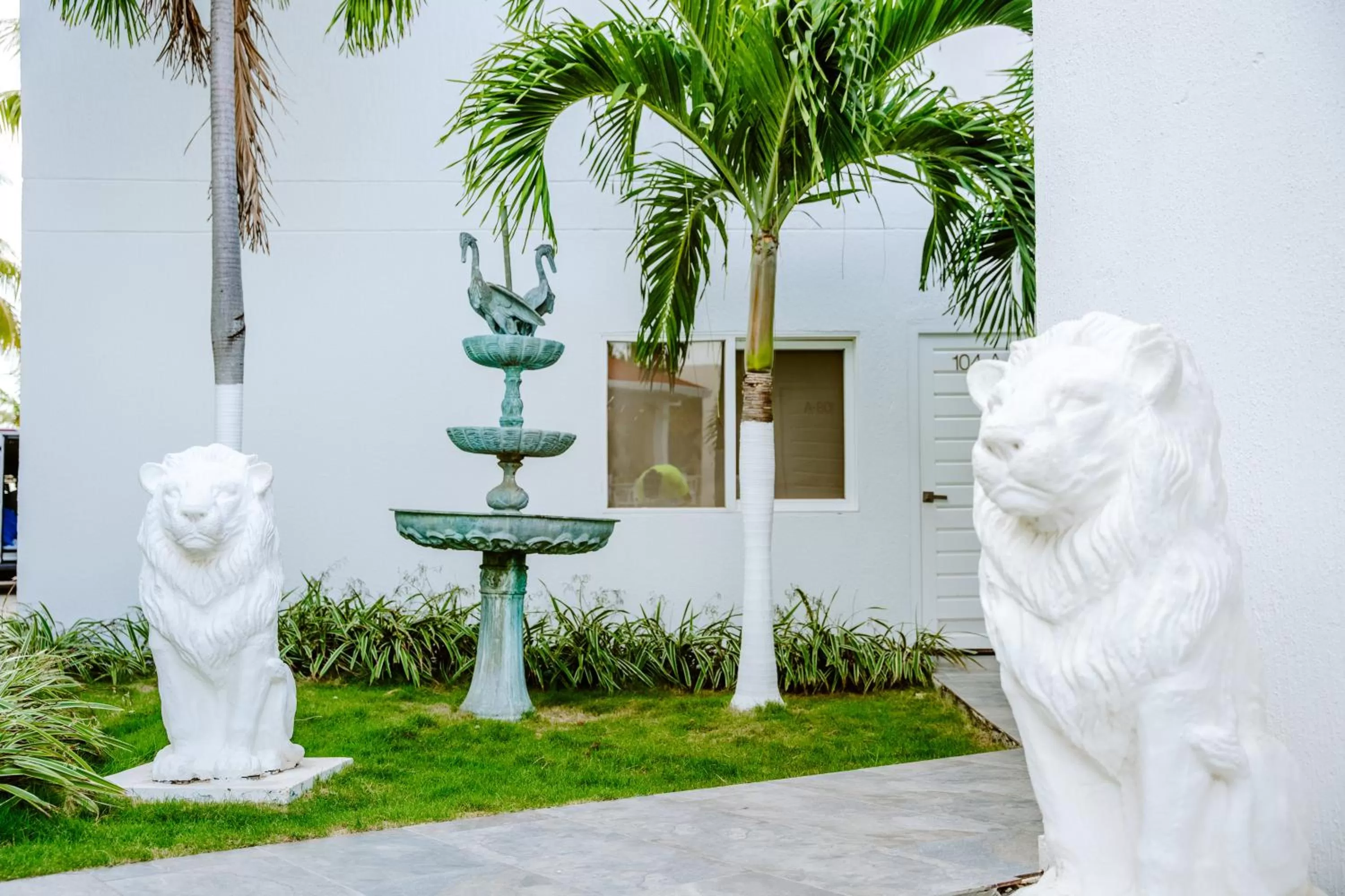 Garden in Hotel Koray