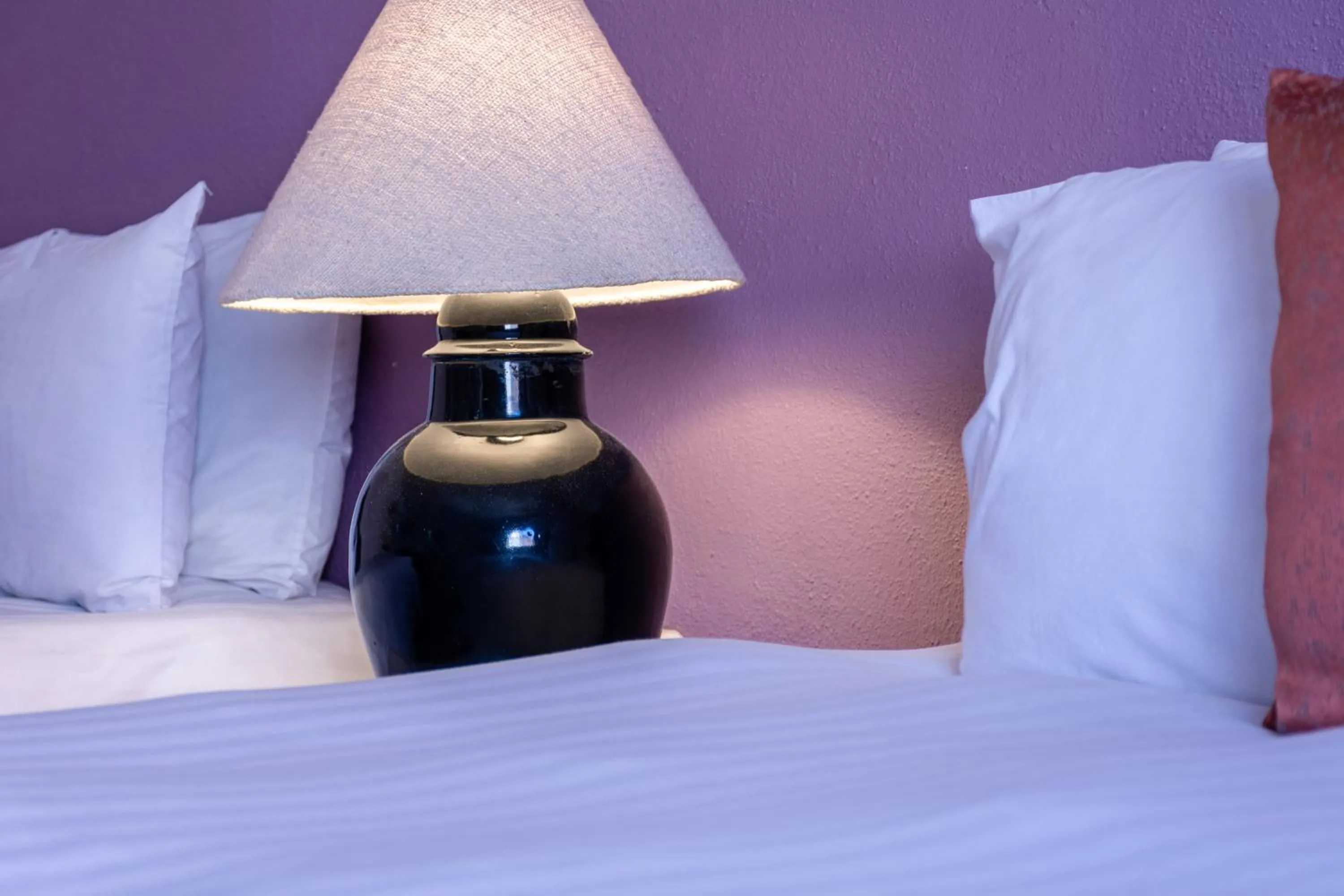 Decorative detail in Hotel Casa Santamaría