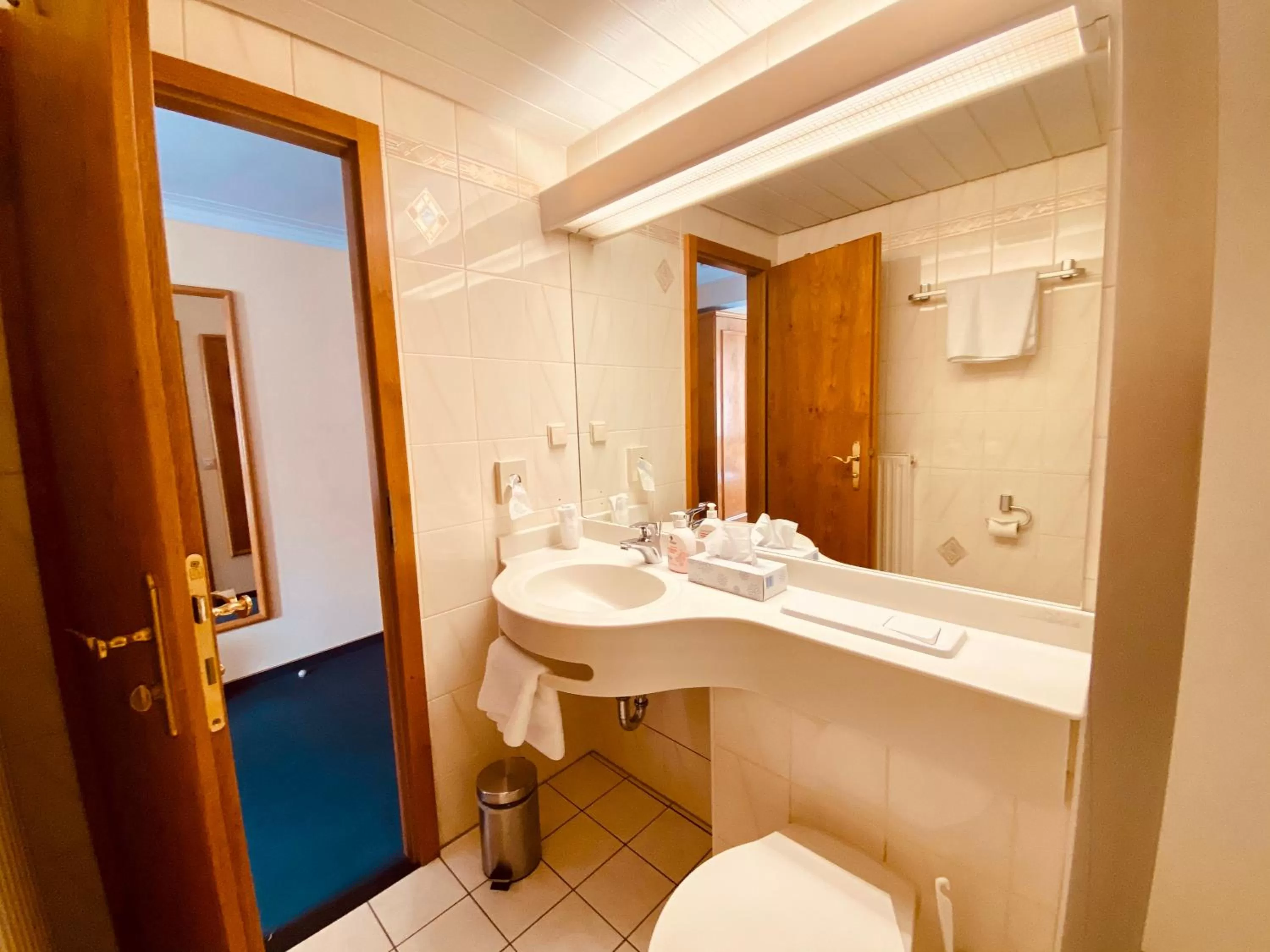 Bathroom in Stadthotel Waldhorn