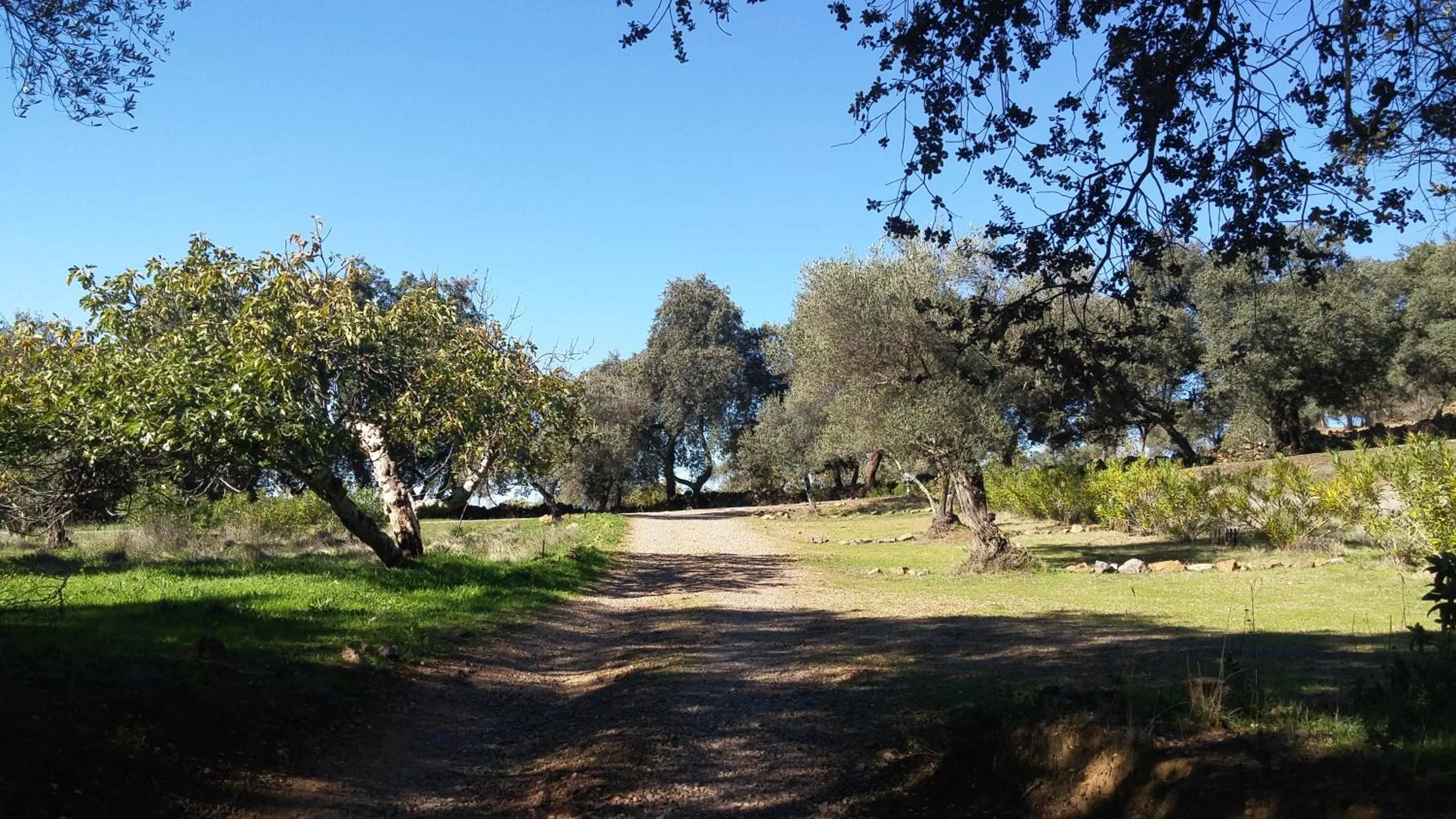 Natural landscape in Hotel La Era de Aracena - Adults Only