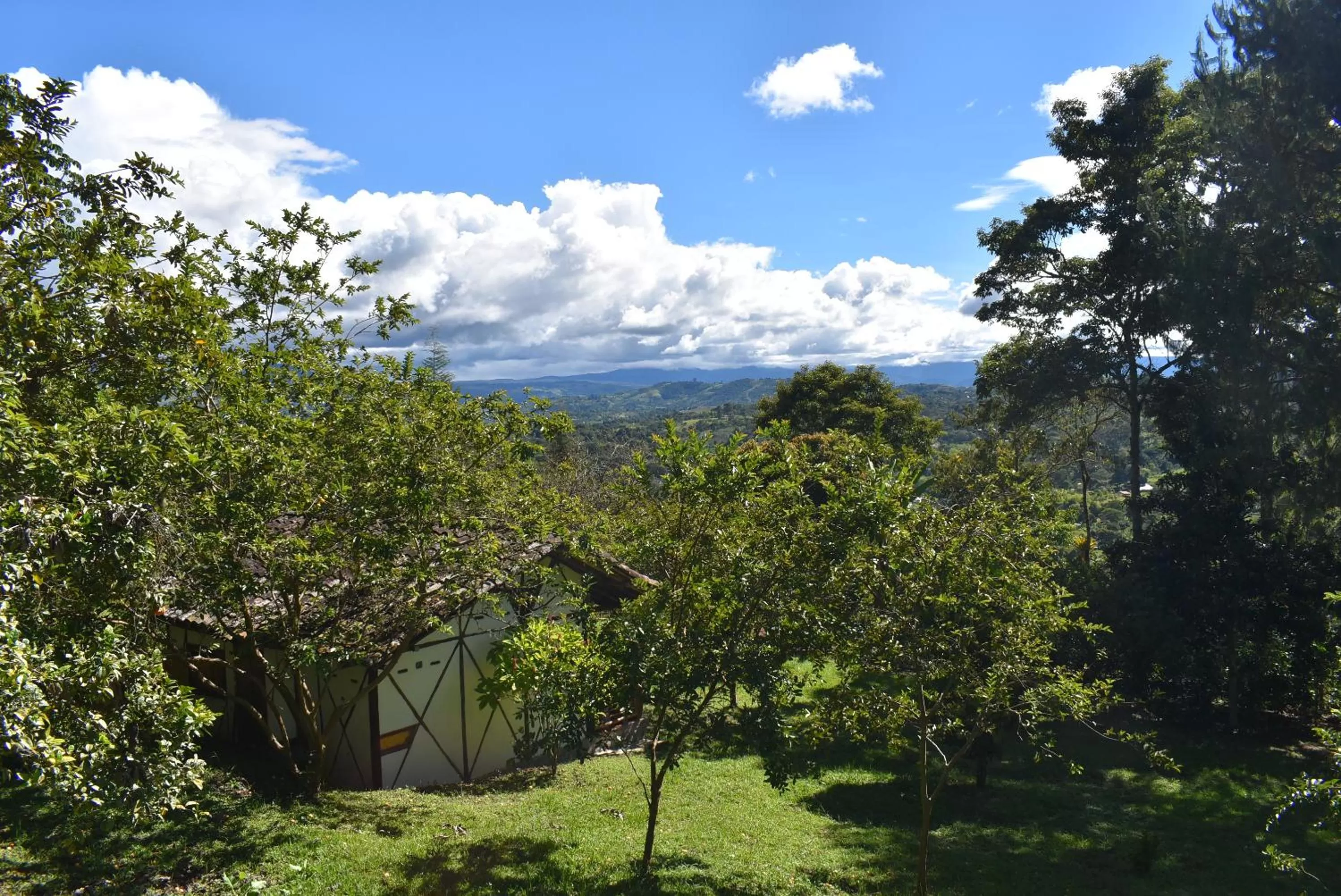 Garden in Hotel La Casa de Francois