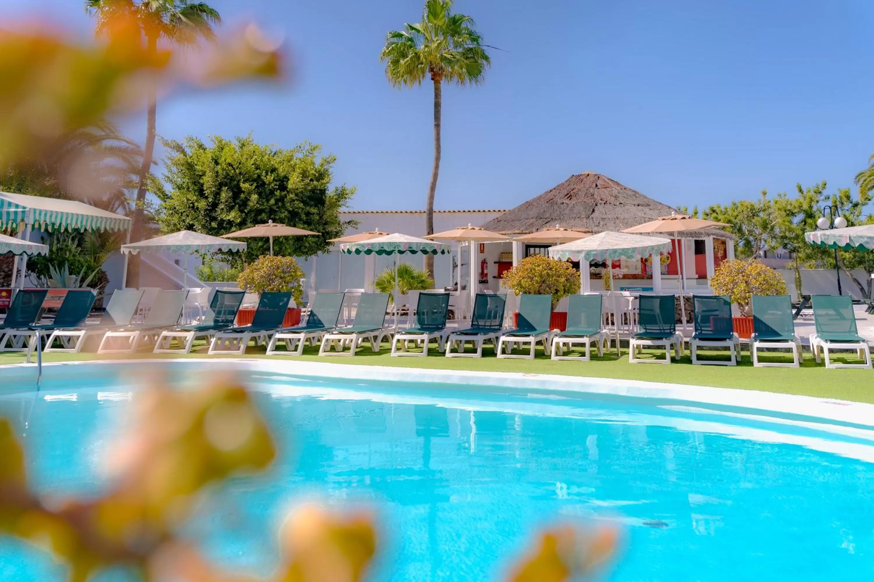 Pool view in Nazaret Sol