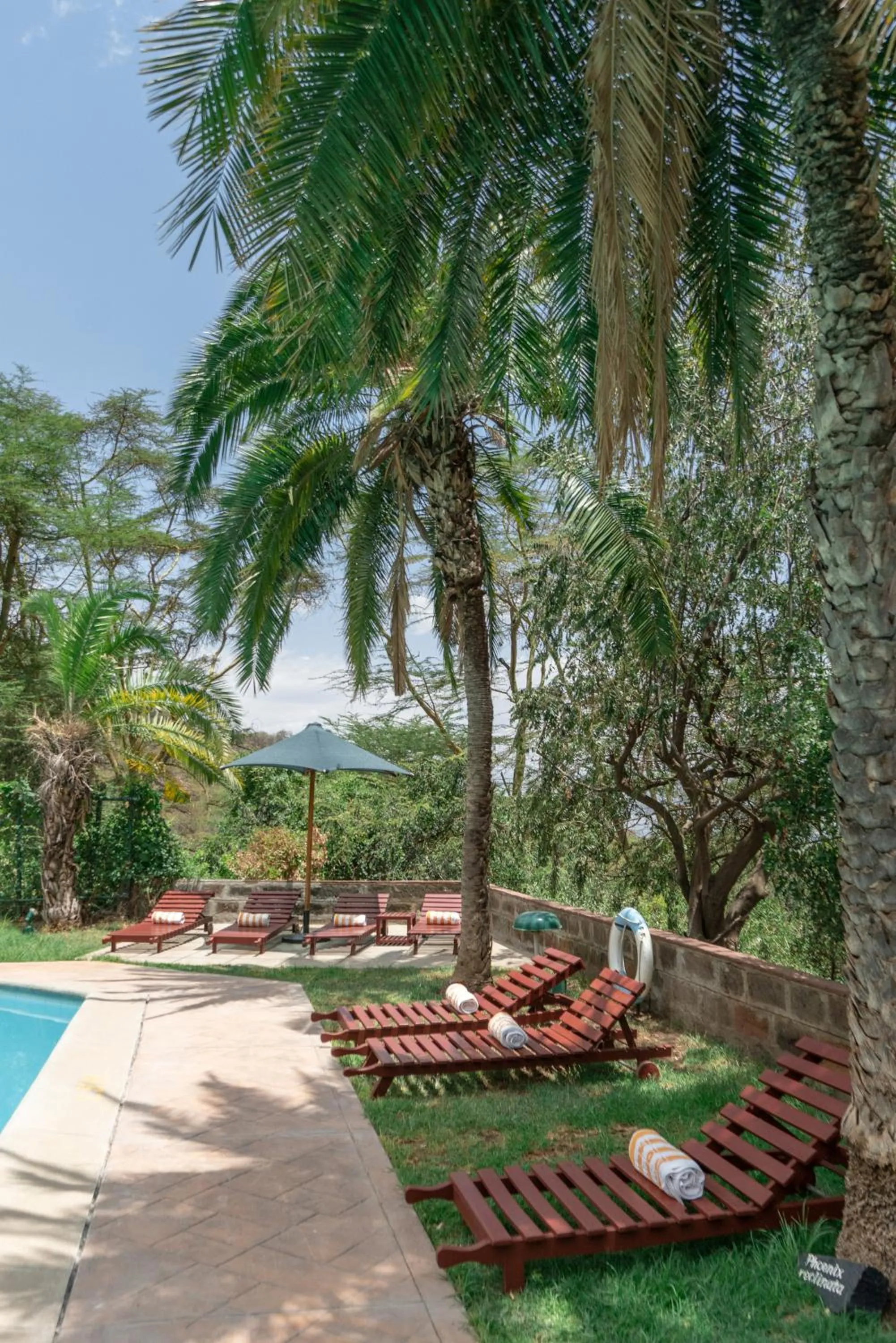 Pool view in Sarova Lion Hill Game Lodge